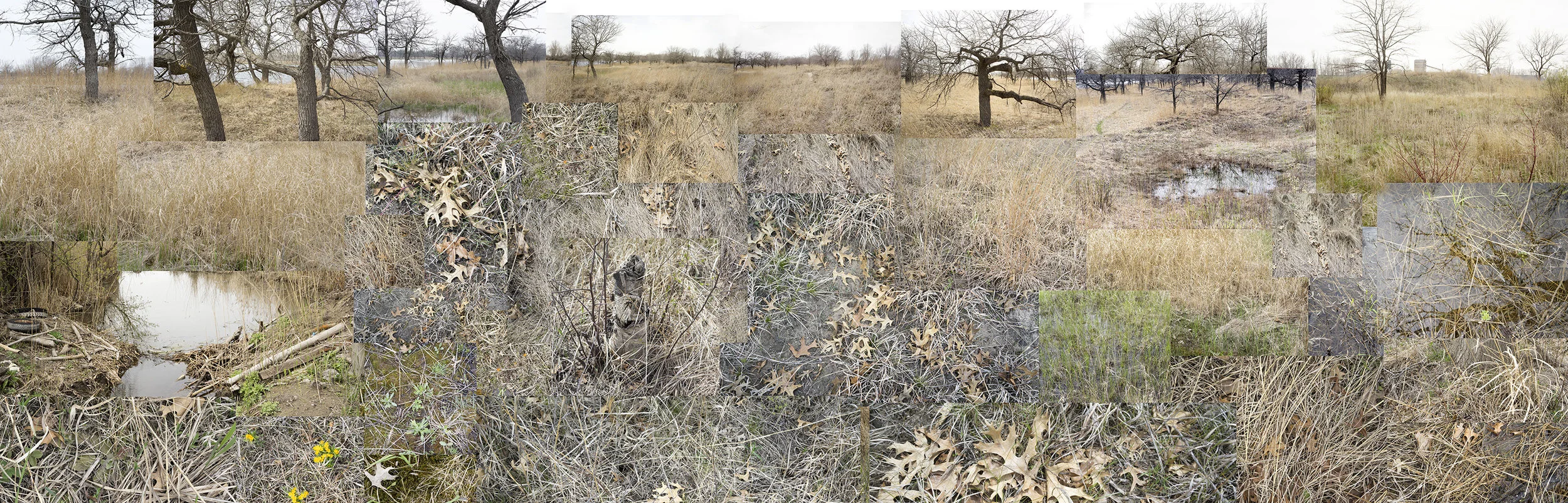 Terry Evans Photography