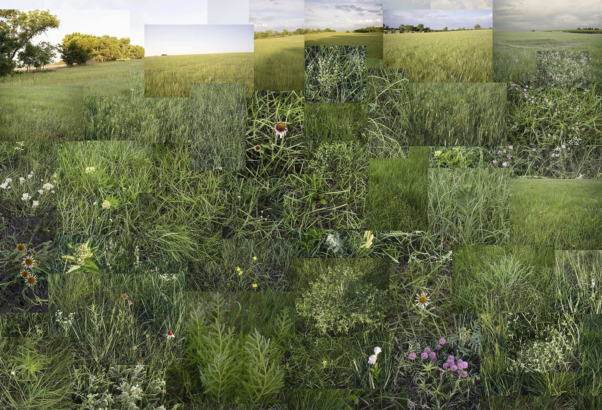 Terry Evans Photography