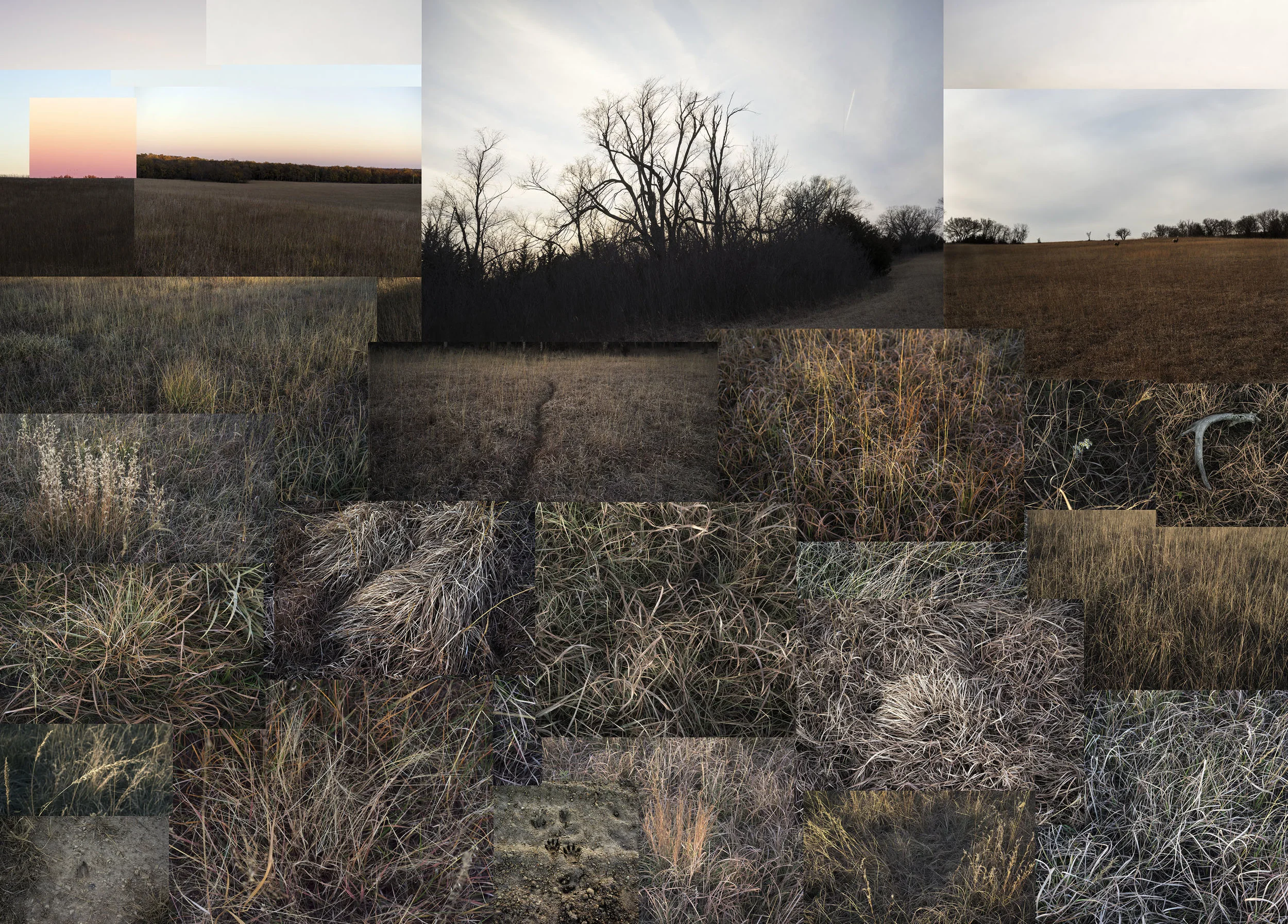 Terry Evans Photography