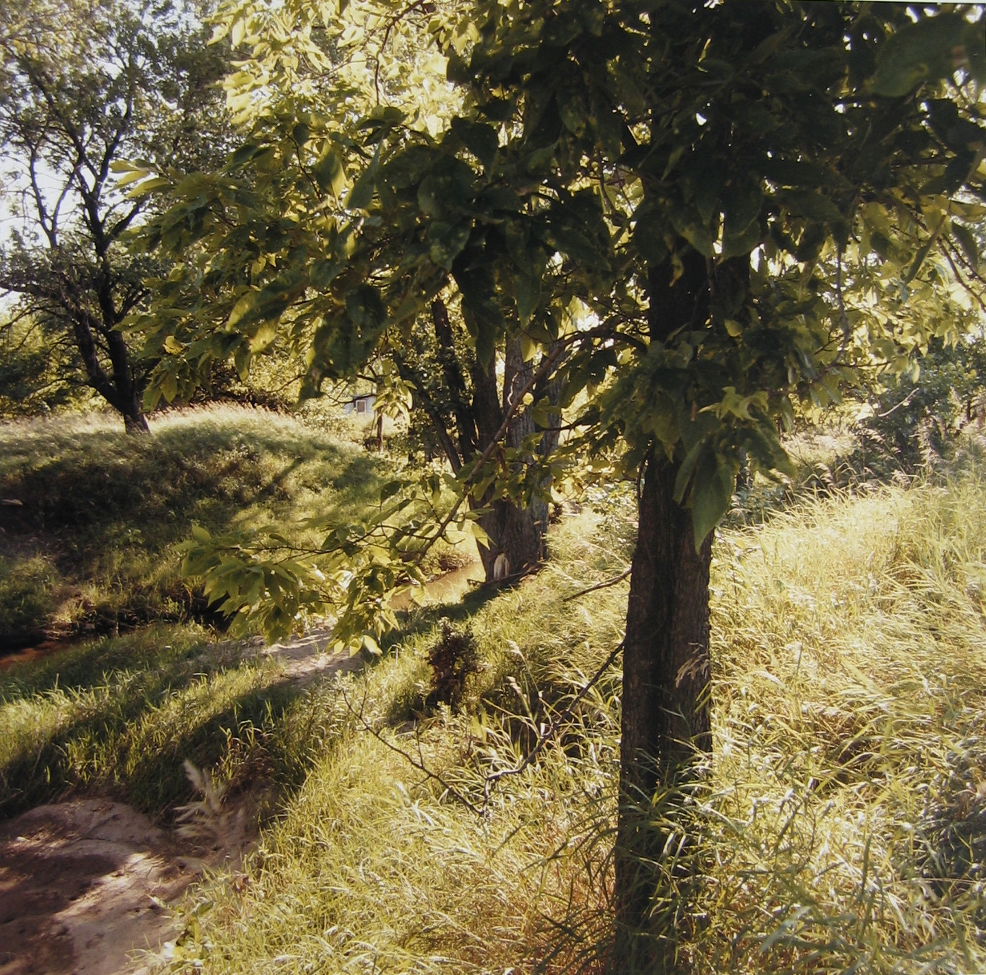 By Prairie Creek, Sunday, July 28, 1996