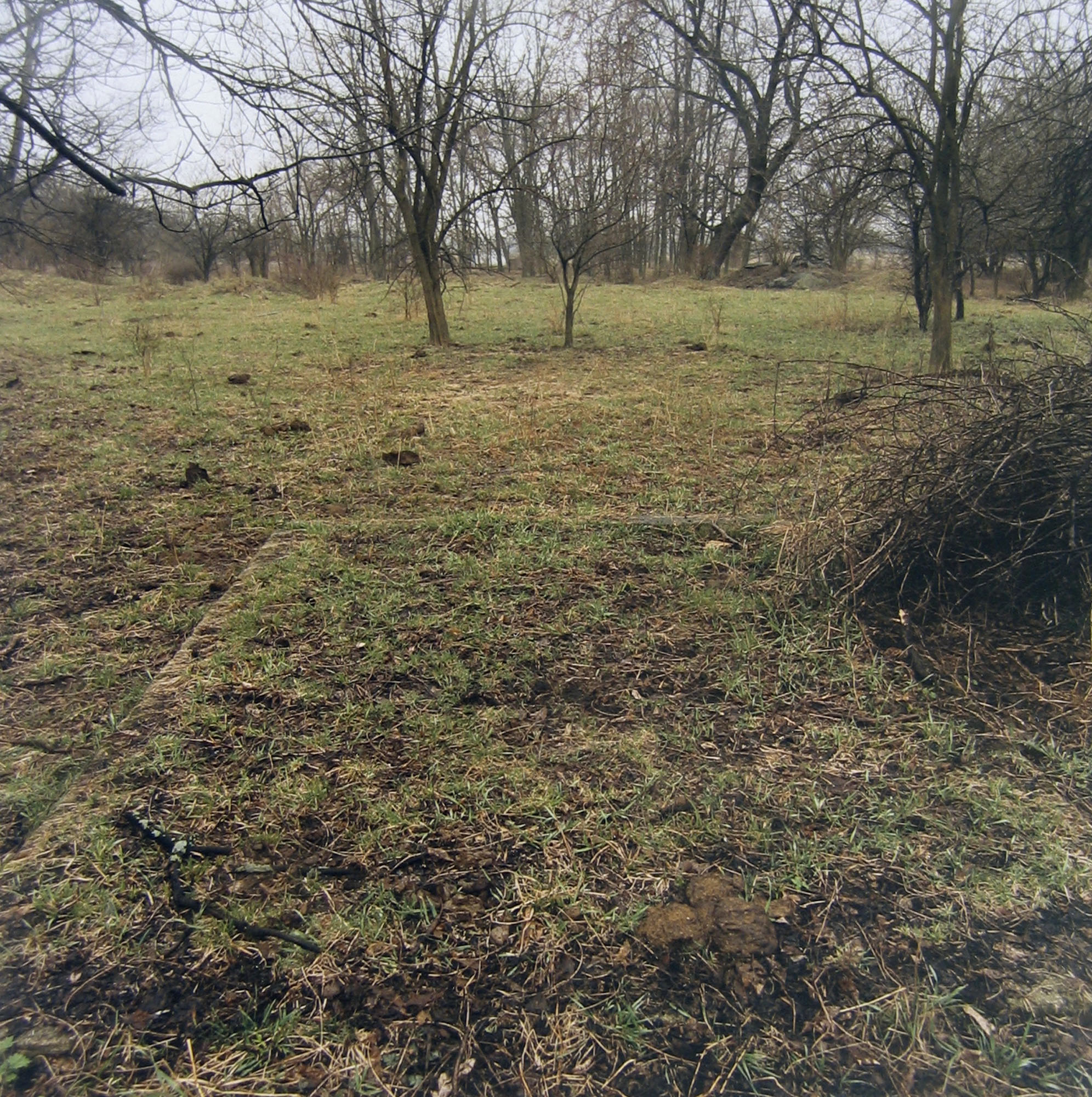 Farm house foundation remains on requisitioned land, January 1997