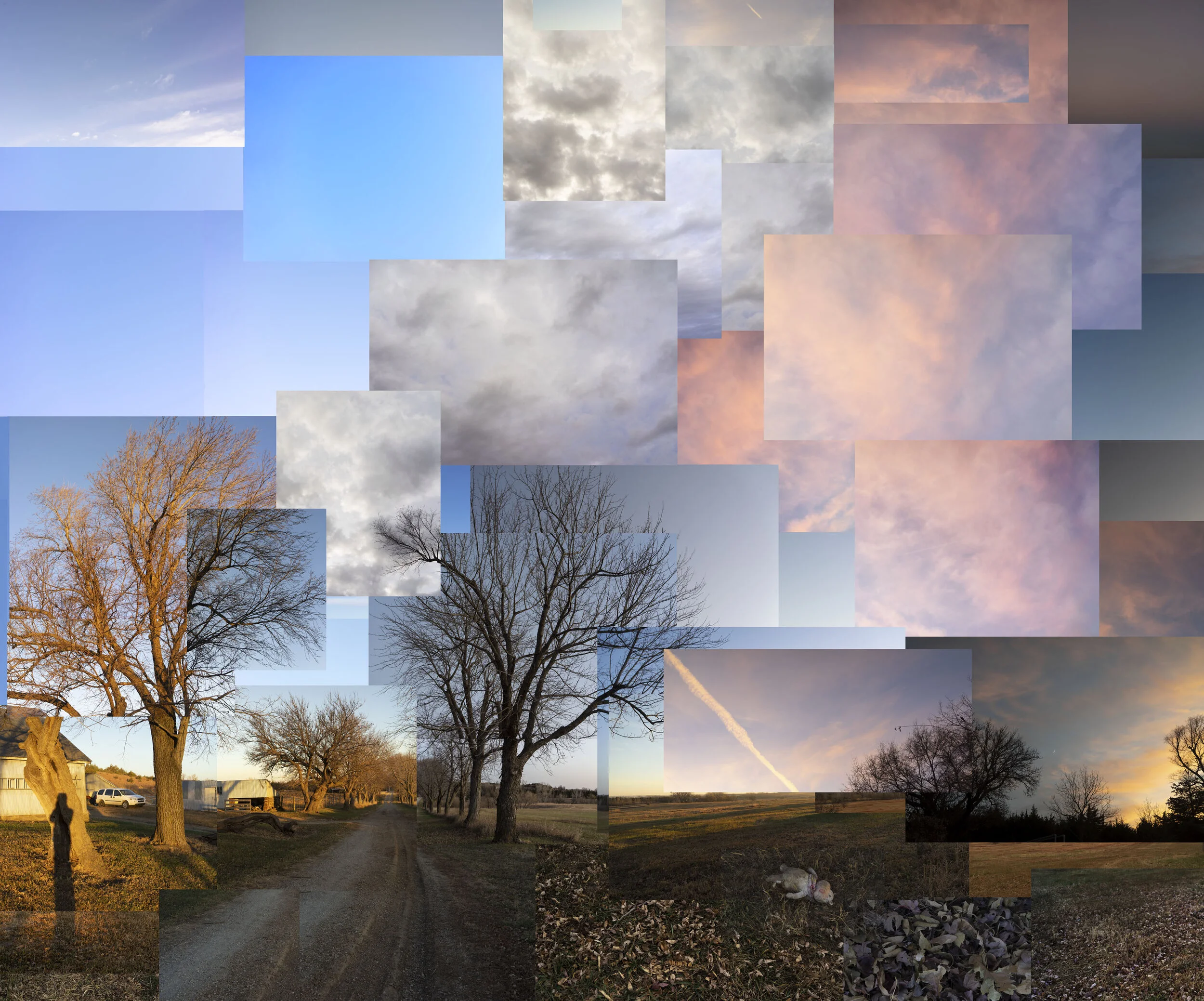 Terry evans fotografie