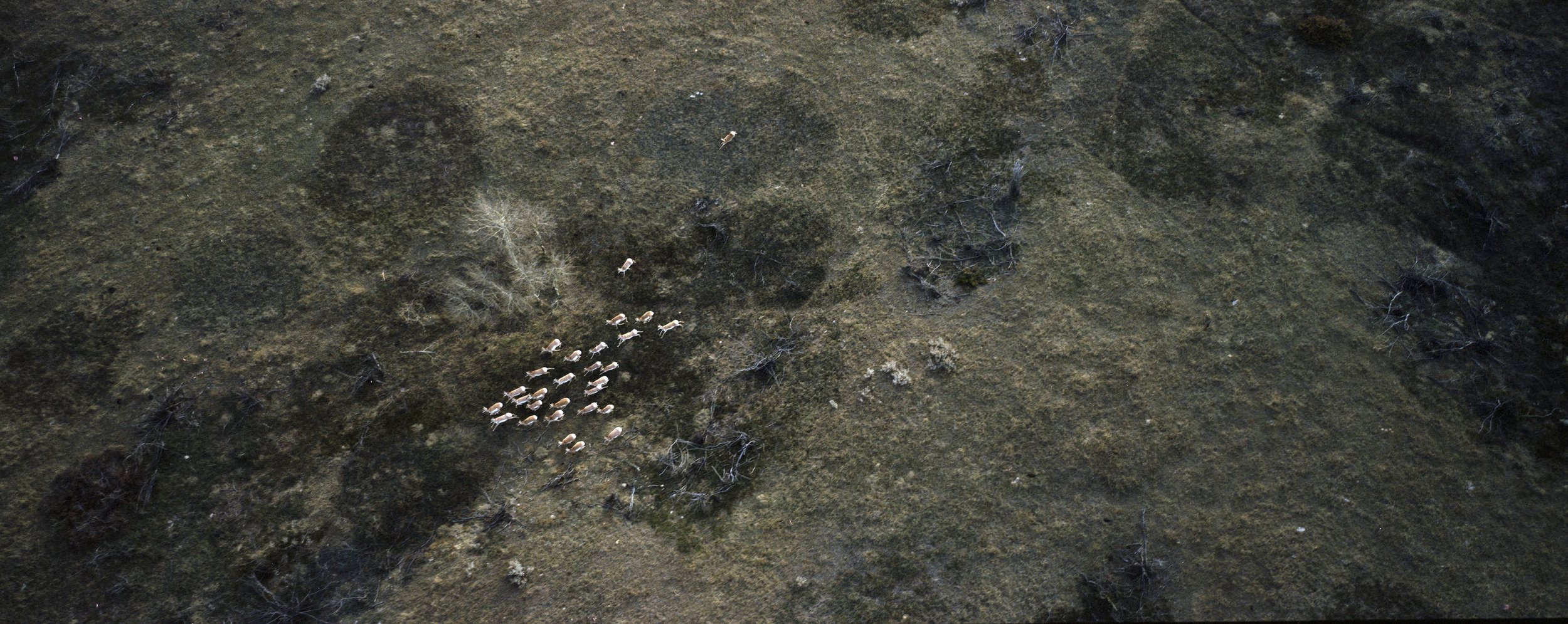 CANADA aerial antelope_1.jpg