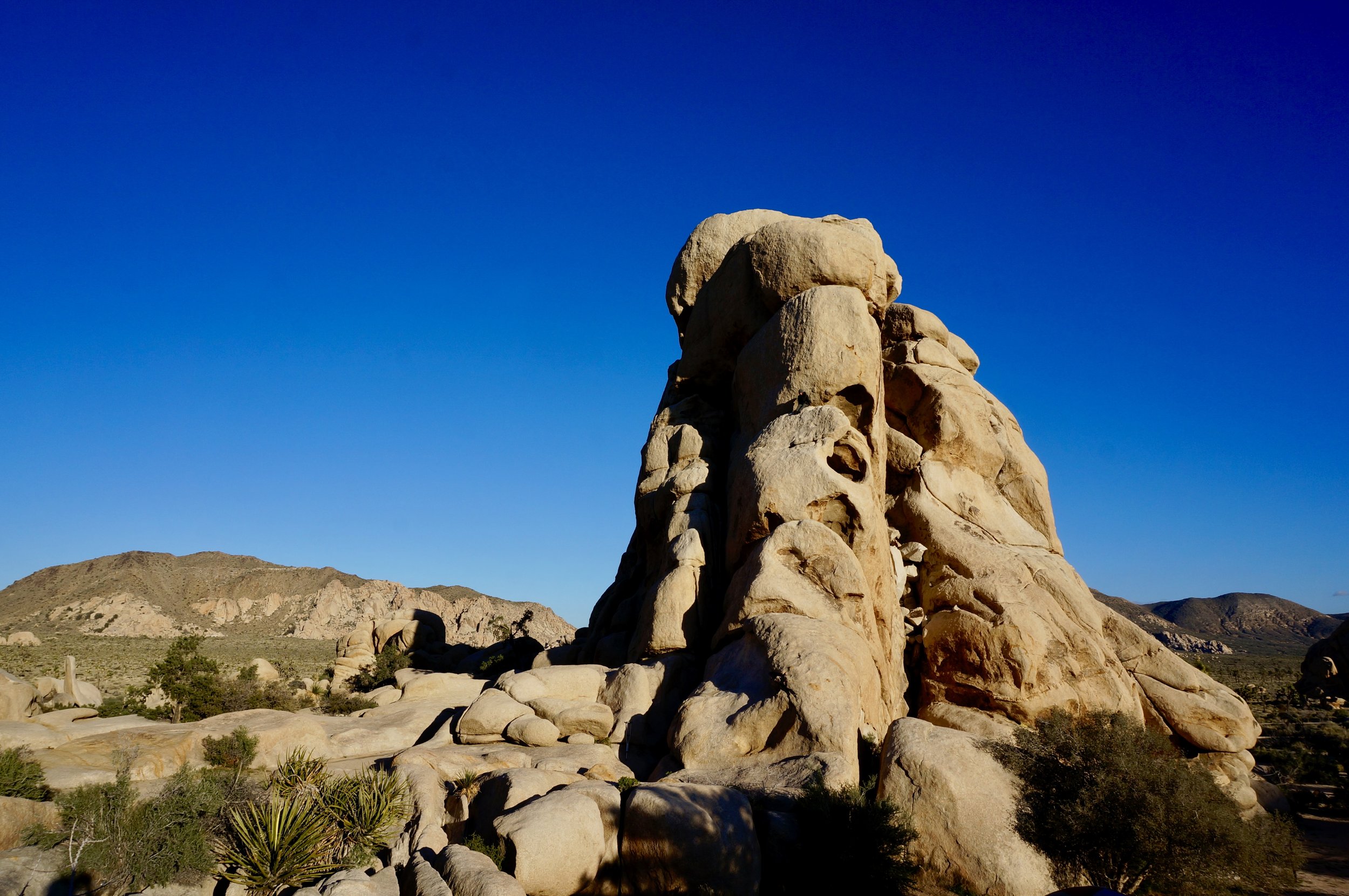 Joshua Tree National Park