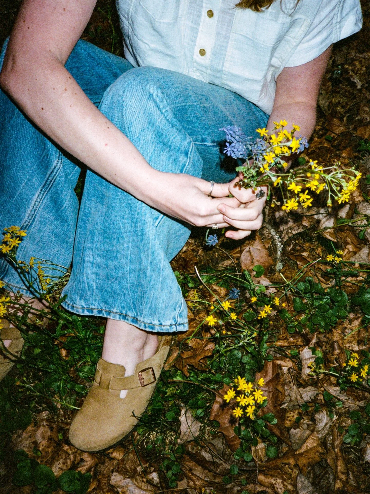 Ava (35mm film)
