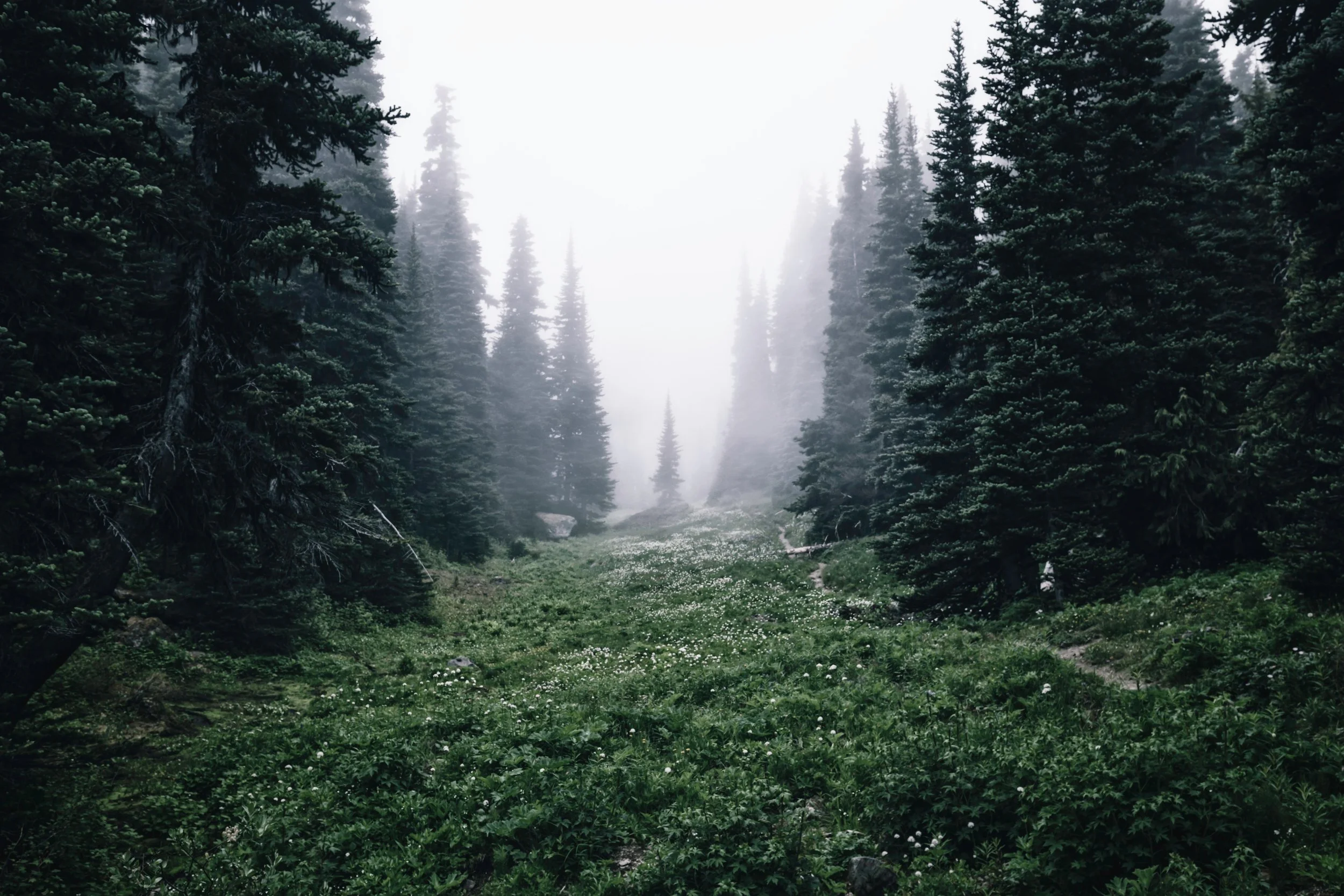 yuriy-garnaev-378691-unsplash.jpg