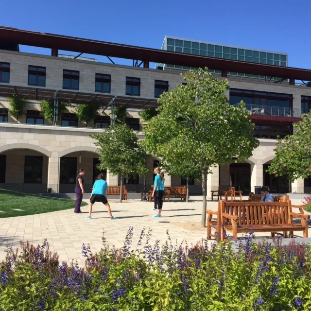 Stanford choreographers create site specific dances