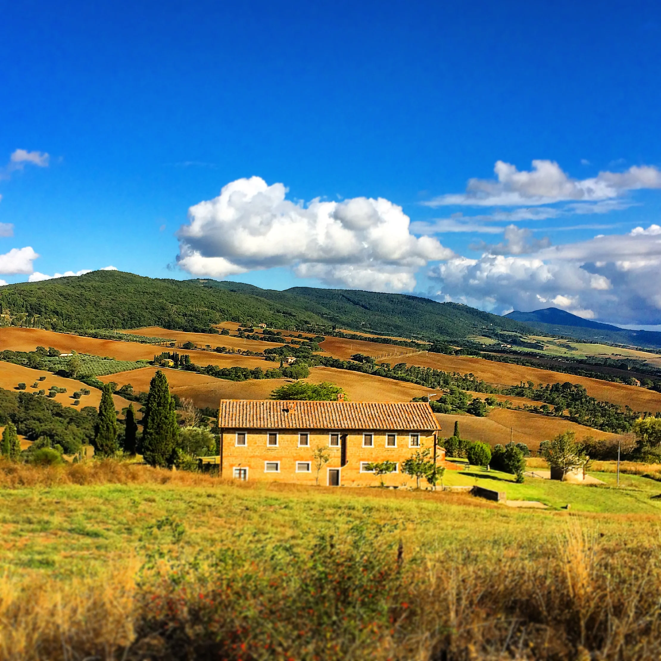 Italiancountryside.JPG