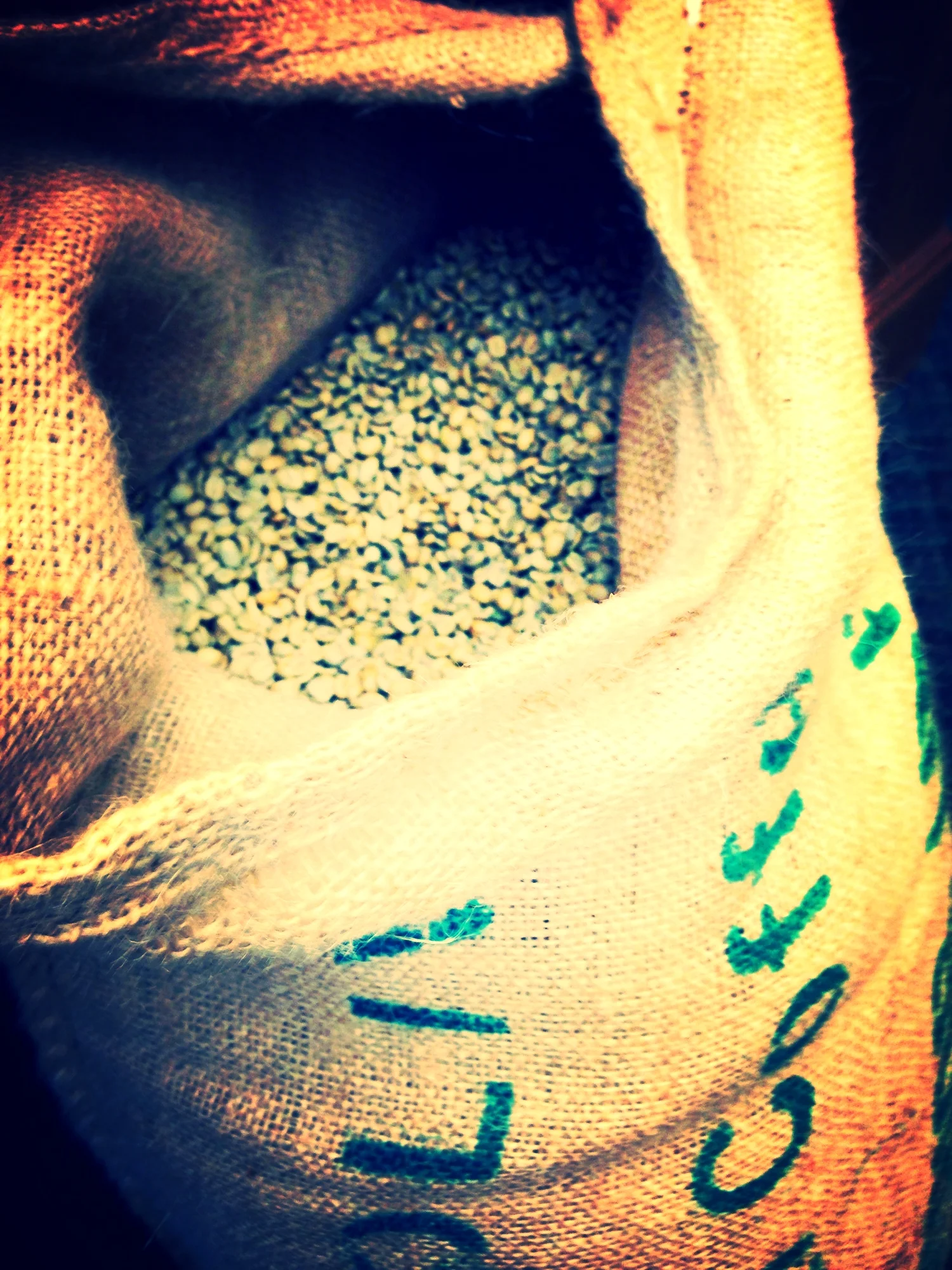  A bag of Bolivian green beans. 