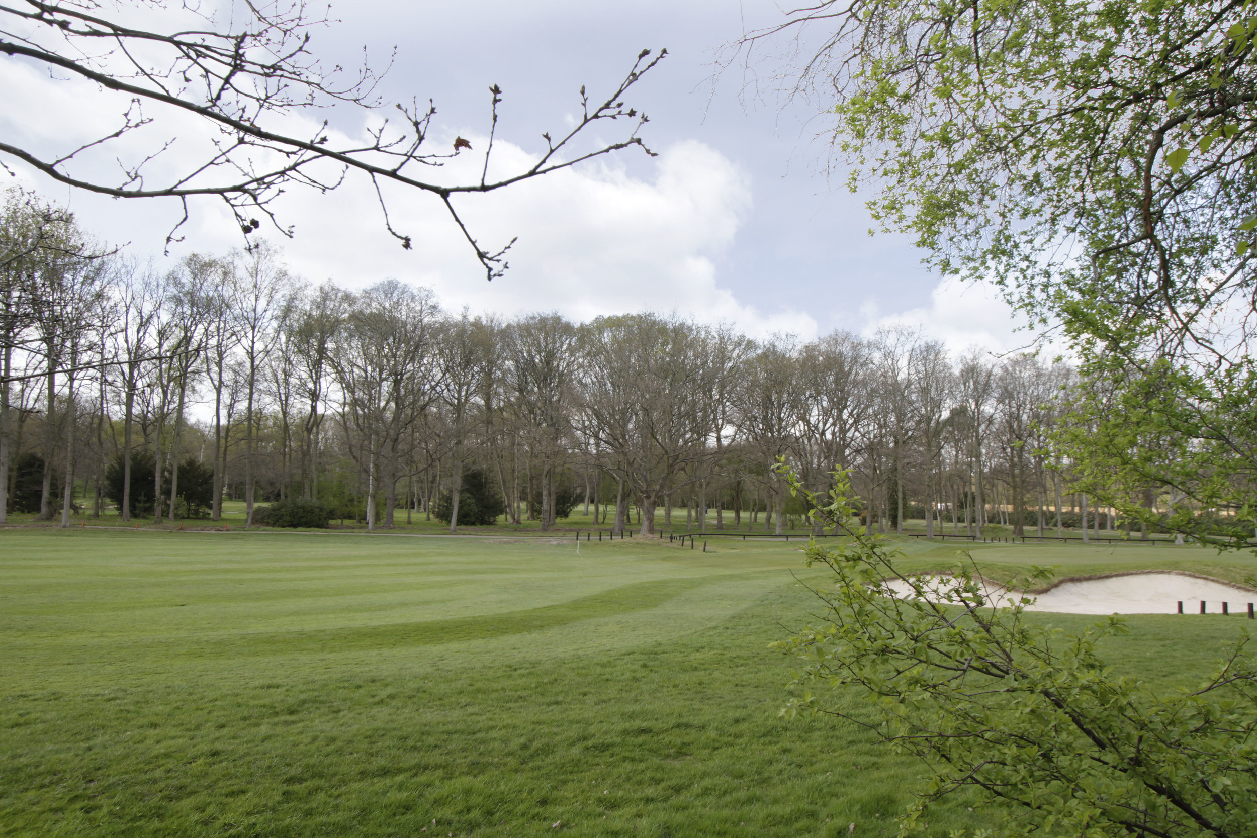 Fenhurst - View - Golf.jpg