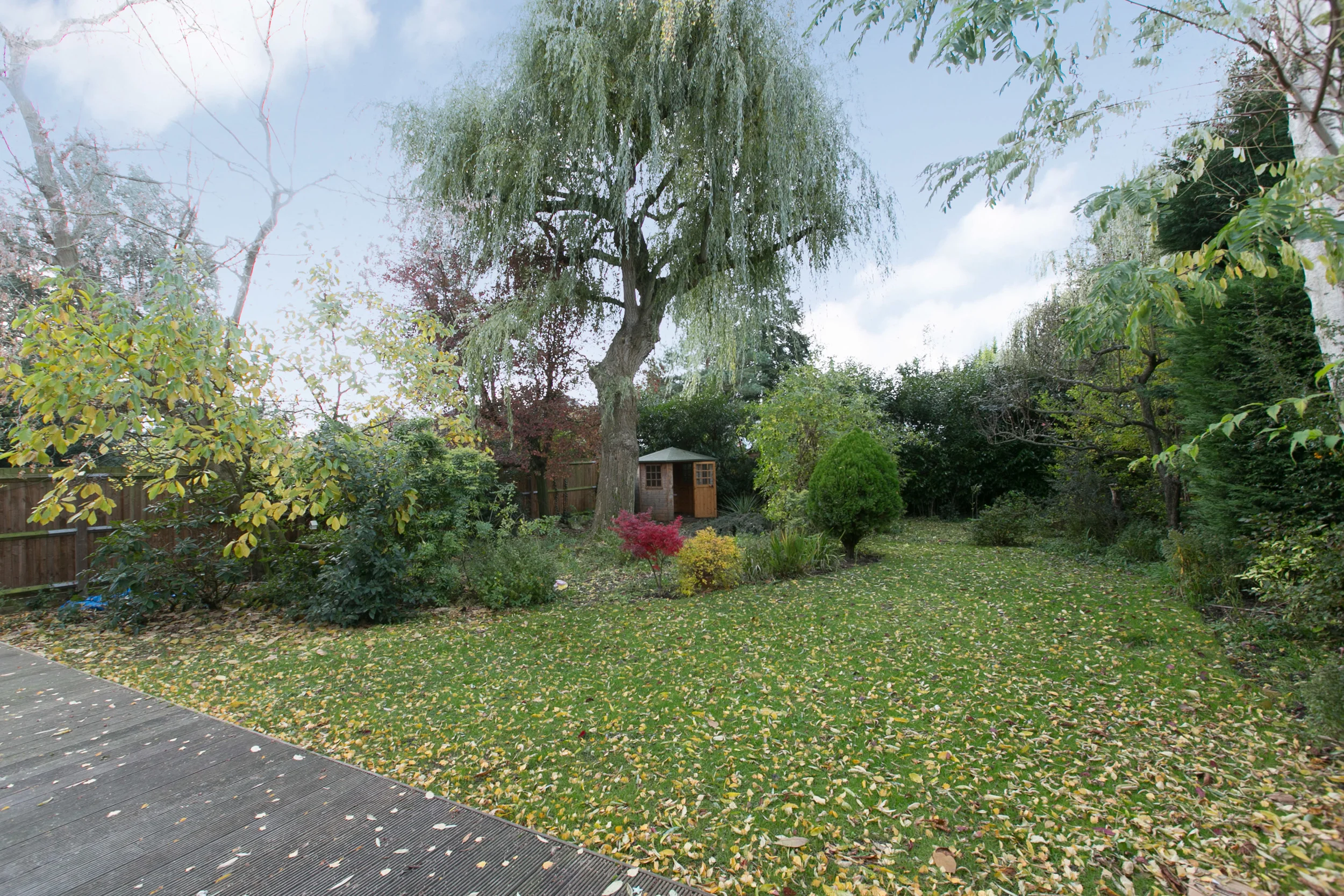 REAR GARDEN.jpg