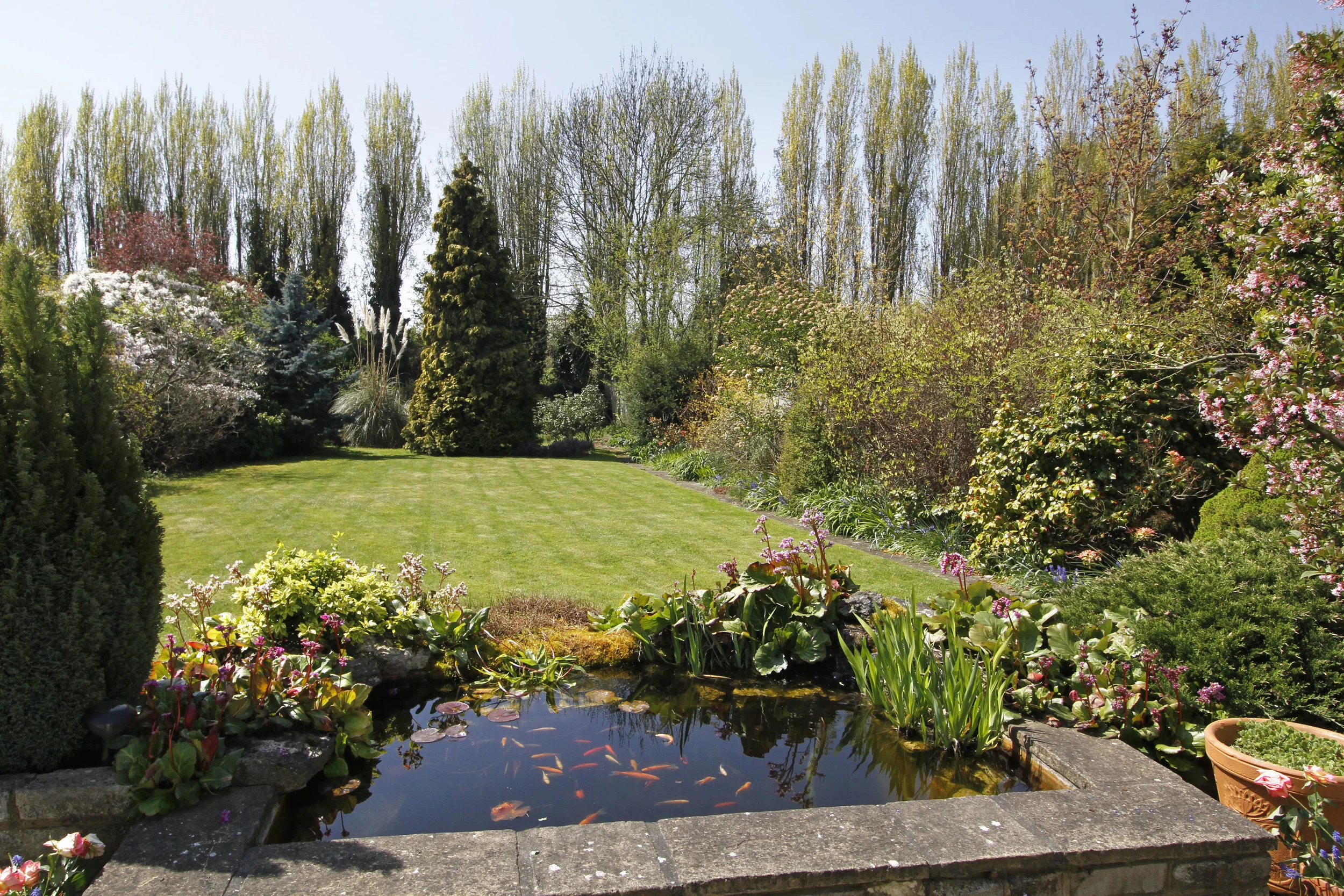 Brook Gdns 5 - Pond.jpg