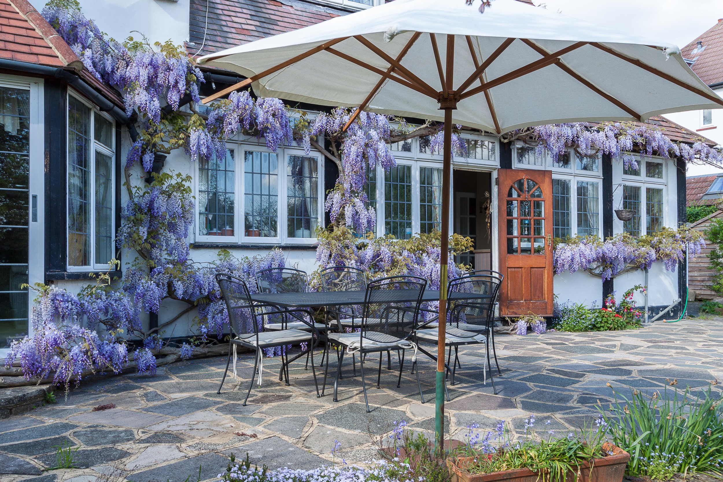 wisteria.jpg