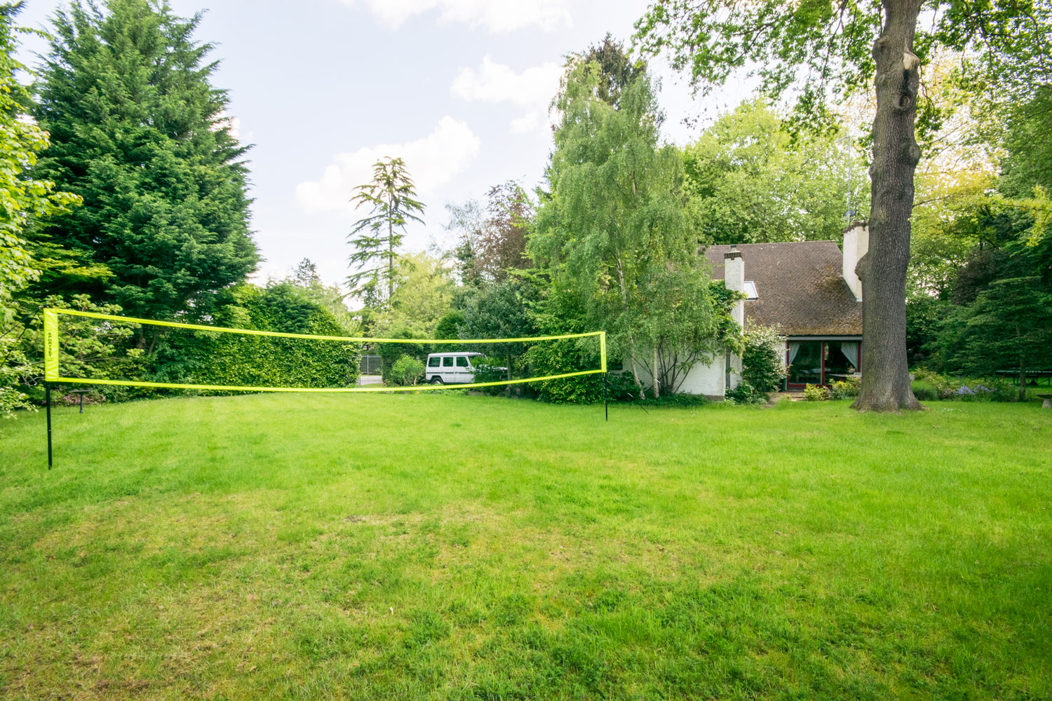 garden.jpg