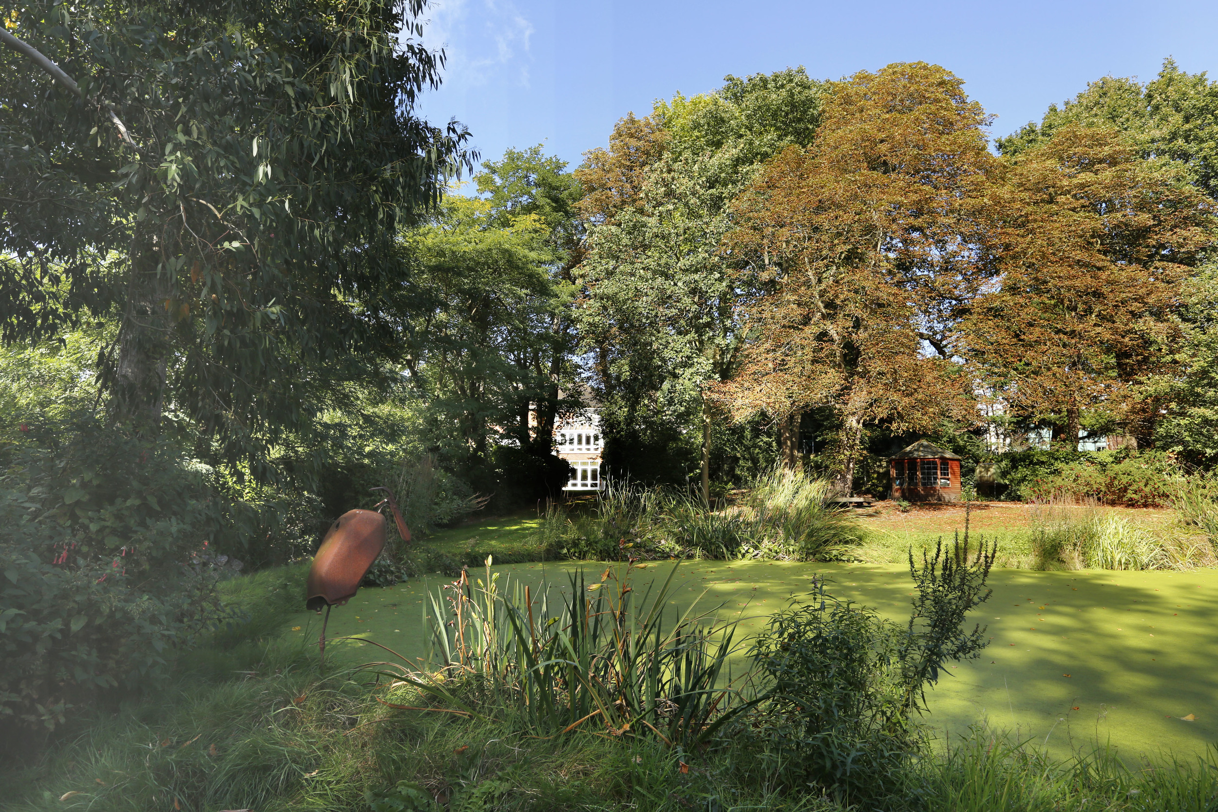 Cardinal House - Pond - R Ext.jpg