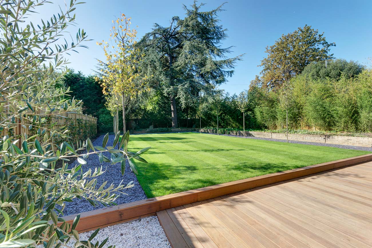 Garden1withLawnLines.jpg