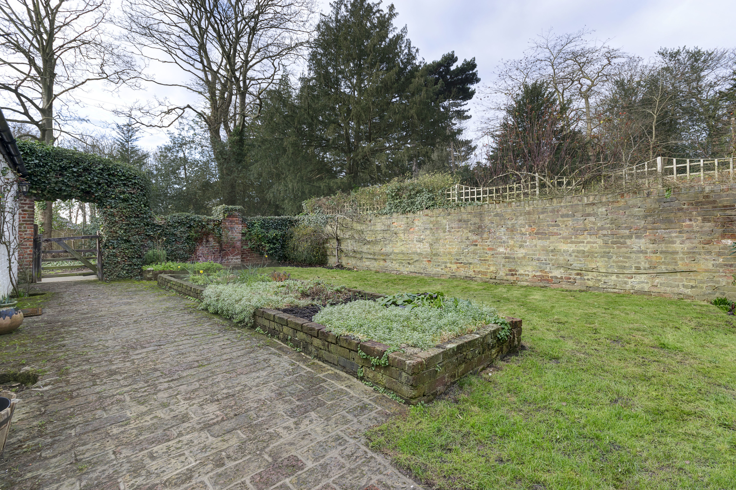 front garden.jpg