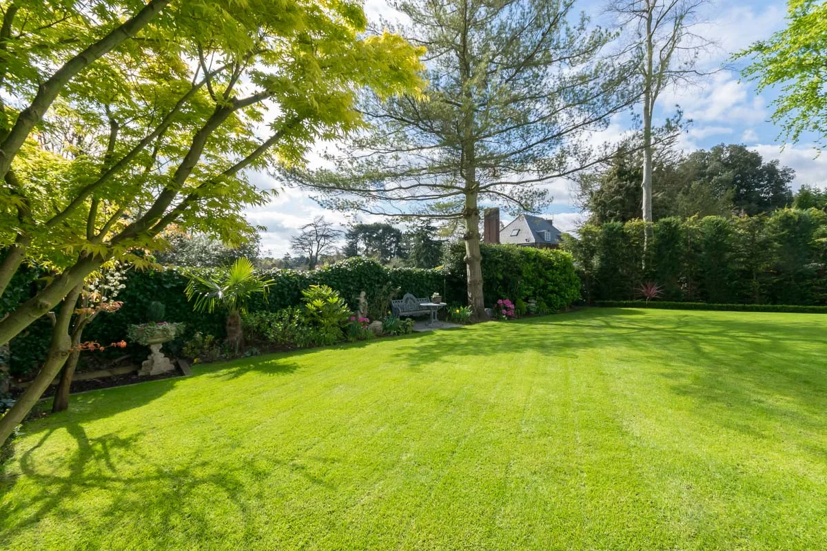 garden 2.jpg
