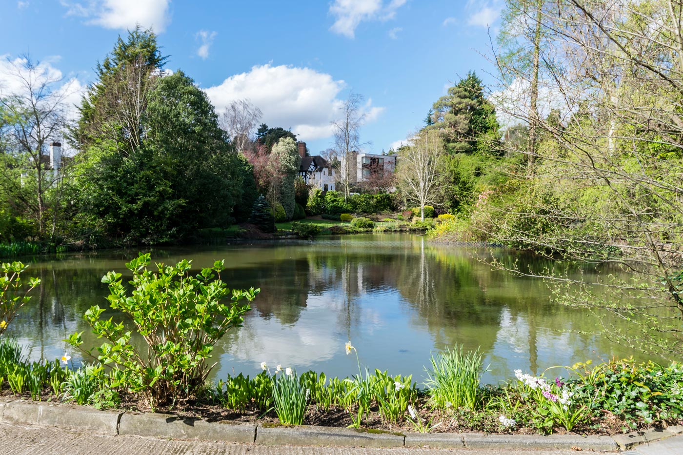 Coombe-Edge-9.jpg