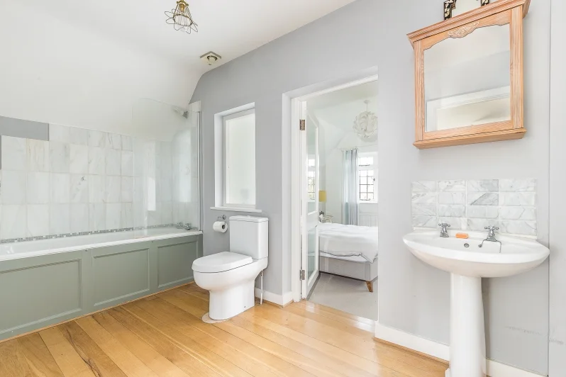 Turnpike Cottage - bat.jpg