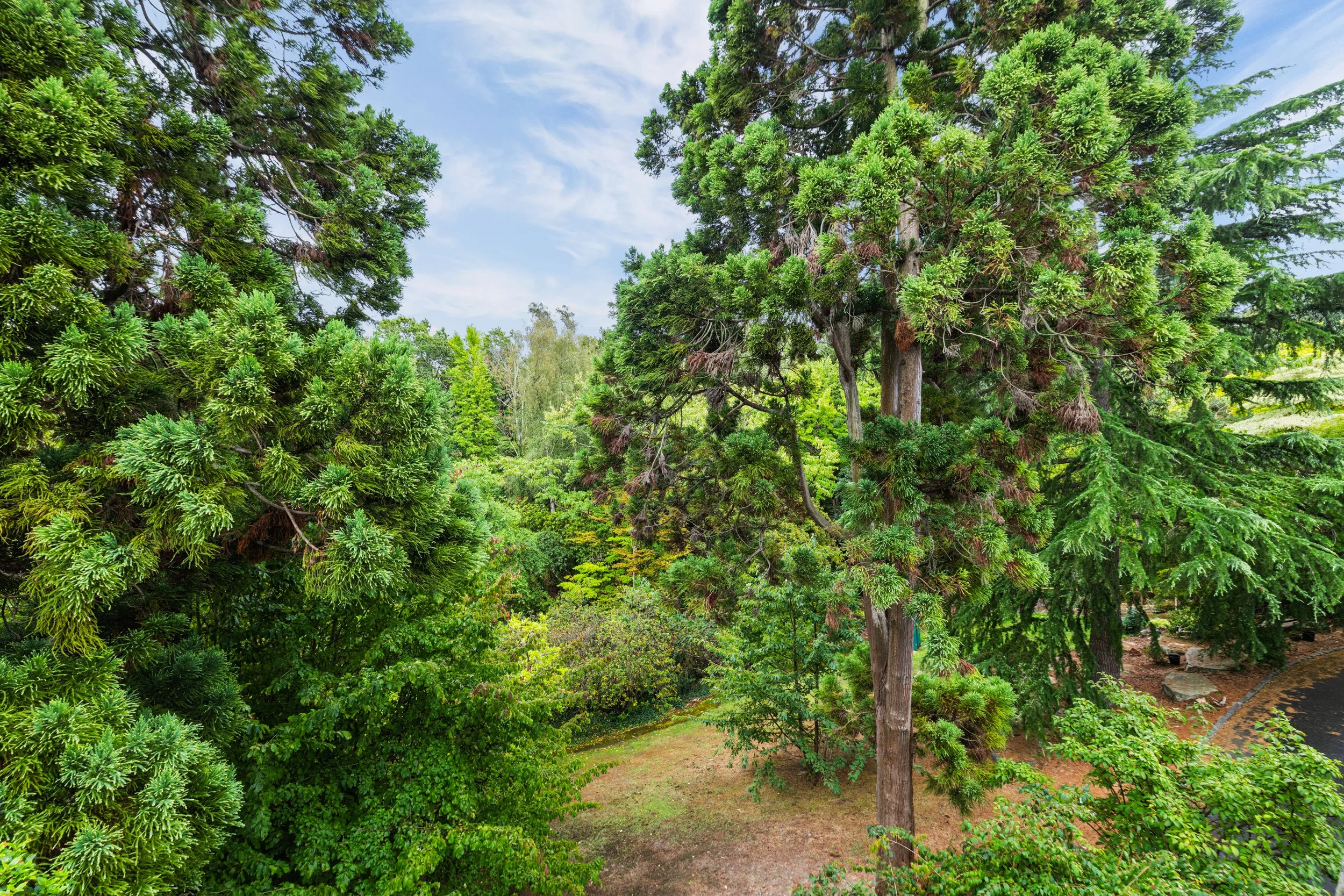 37 the Watergardens Warren Road KT2 7LF40.jpg