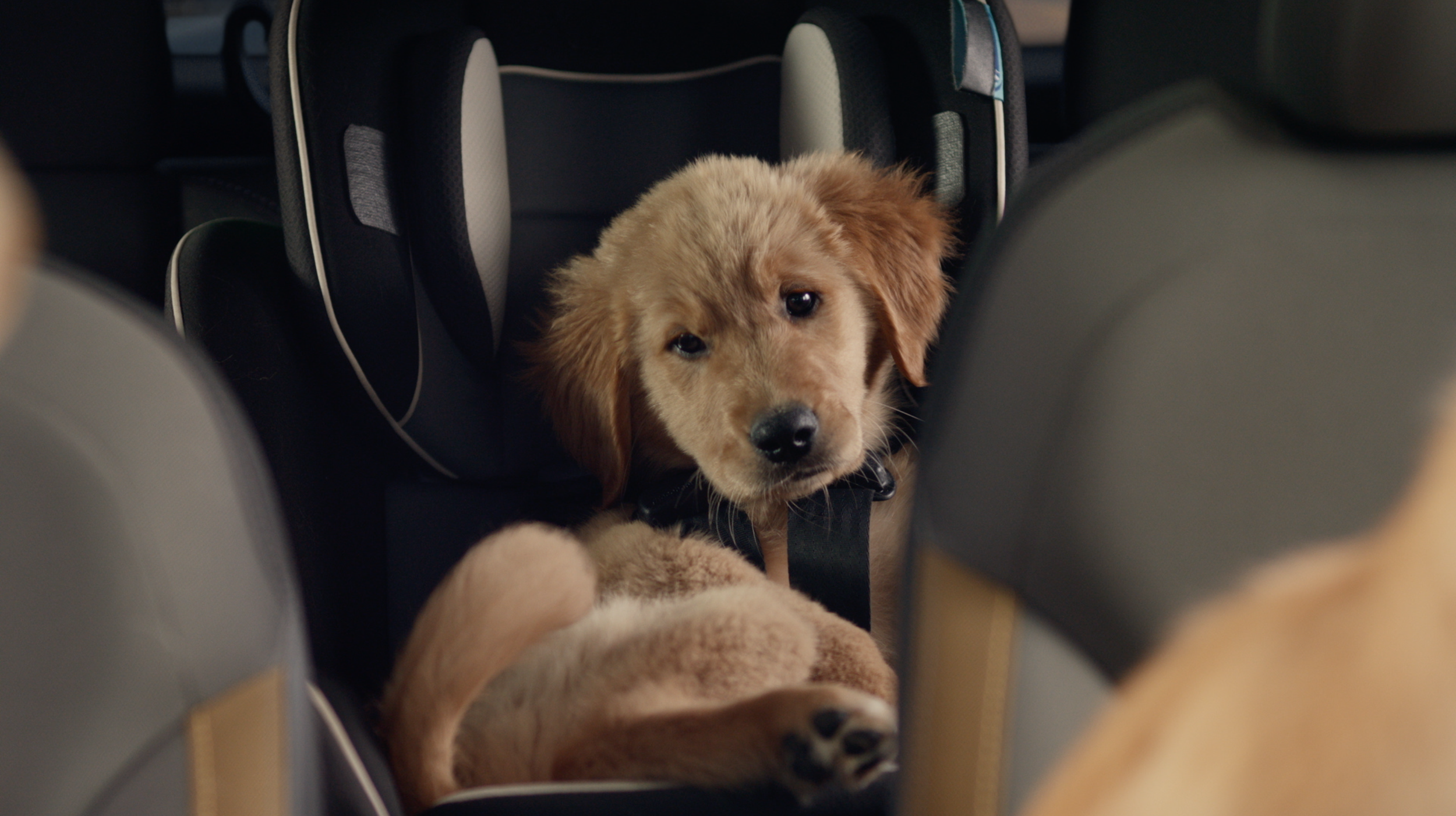 Screen Shot 2025-11-22 at 9.13.19 PM.png