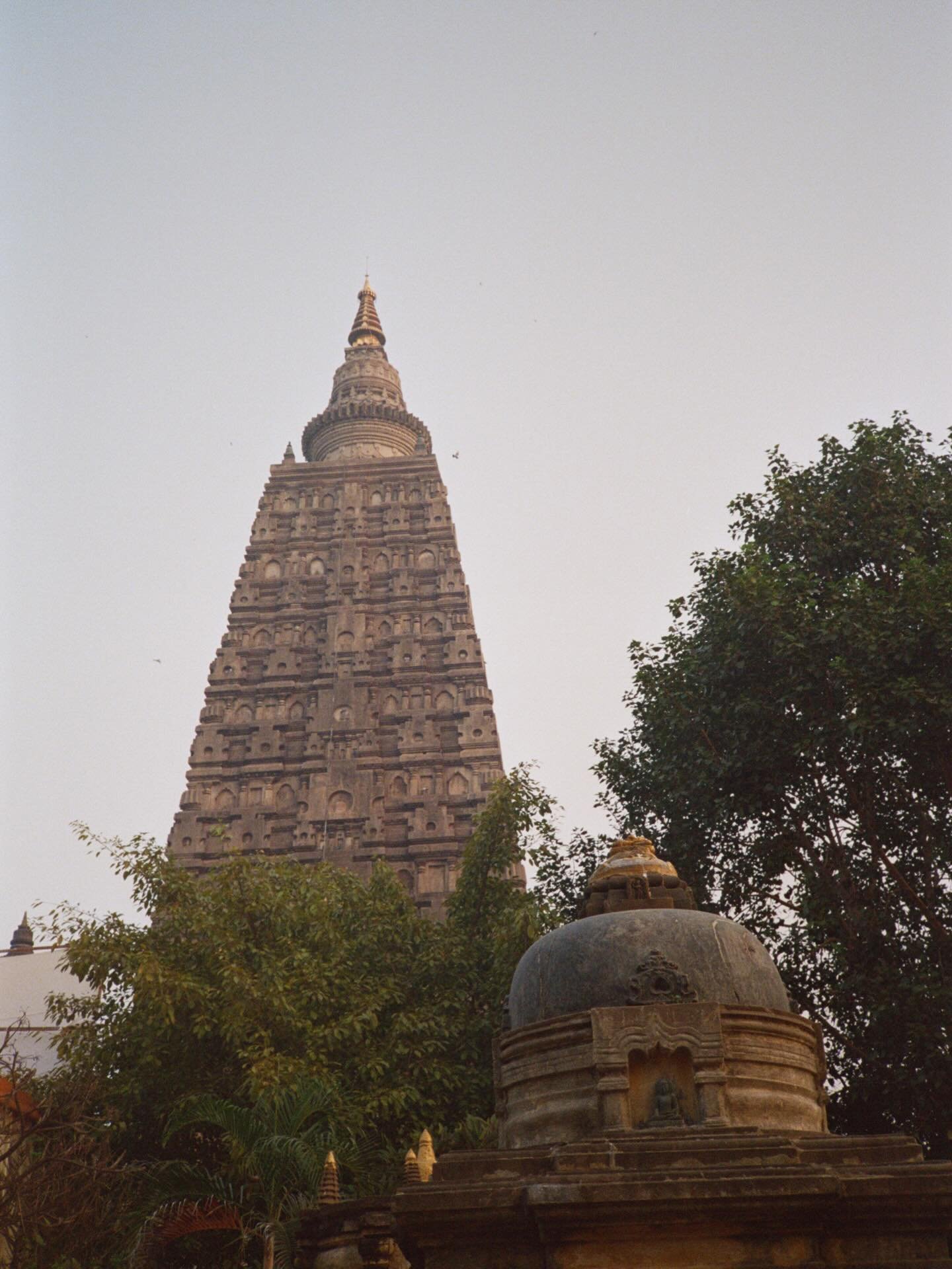 Bodhgaya, India # 9