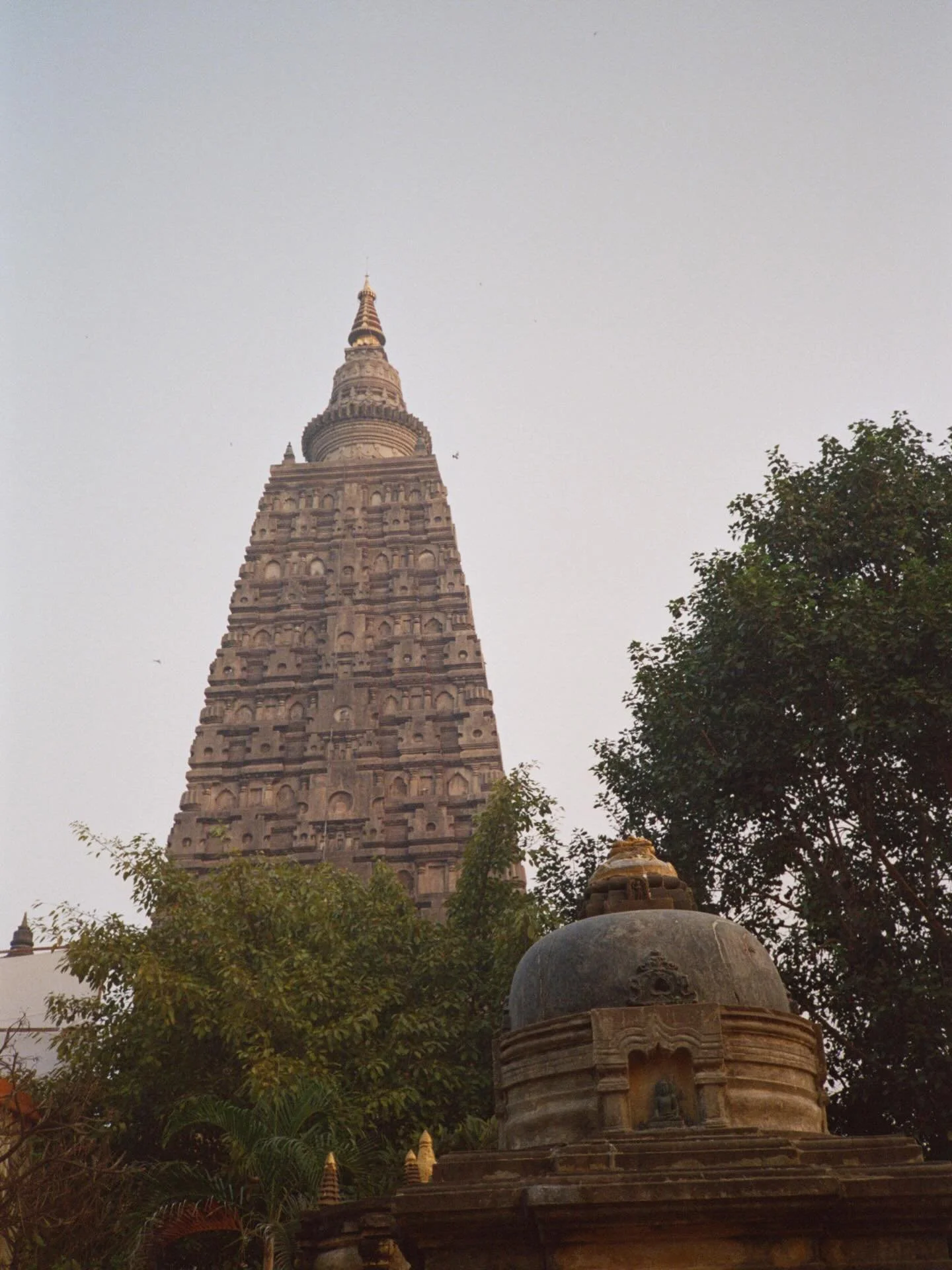 Bodhgaya, India # 9