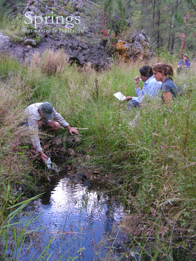 Fig. 1: Survey of Lockwood Spring, Coconino National Forest, Arizona