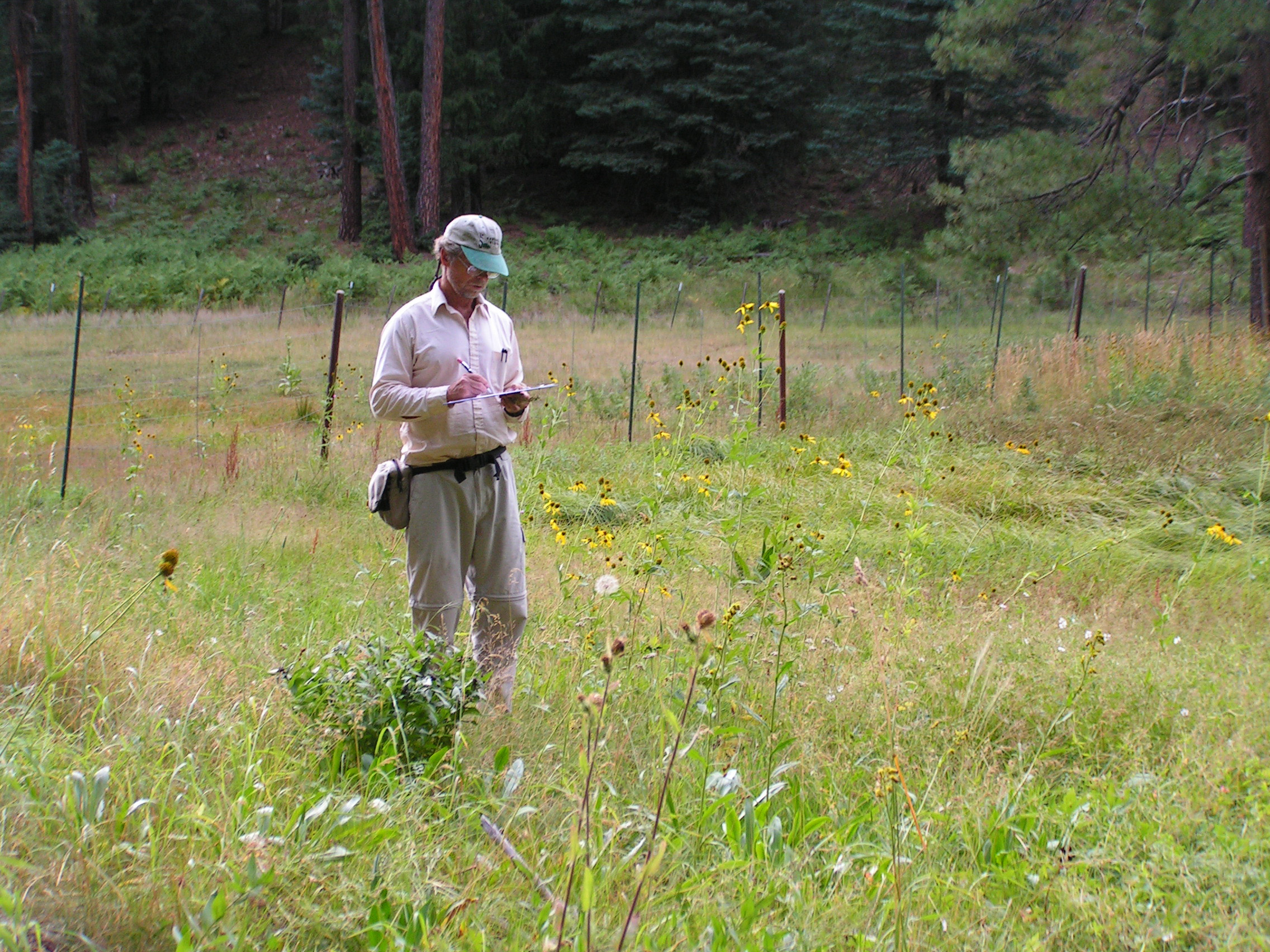 Fig. 2: Dr. Larry Stevens collecting inventory data, Merritt Spring, Coconino National Forest, Arizona