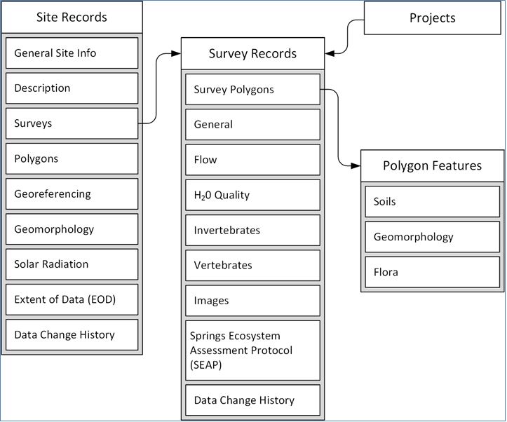 Primary Database Table Structure