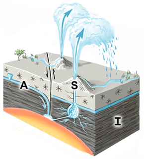 Sketch of Geyser spring type. A=aquifer; I=impermeable stratum; S=spring source. The inverted triangle represents the water table or piezometric surface. Fault lines are shown where appropriate.