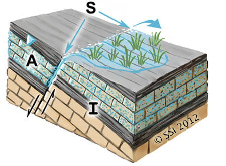 Sketch of Helocrene spring type. A=aquifer; I=impermeable stratum; S=spring source. The inverted triangle represents the water table or piezometric surface. Fault lines are shown where appropriate.