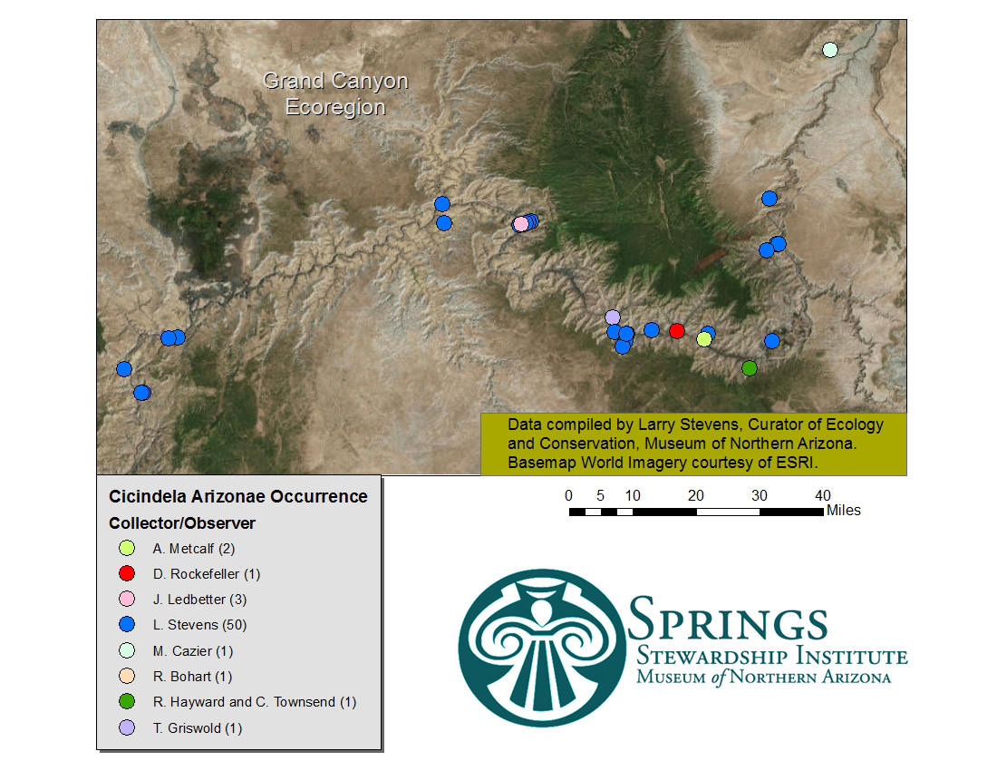 CicindelaHemorrhabicaArizonaeCollectorMap.jpg