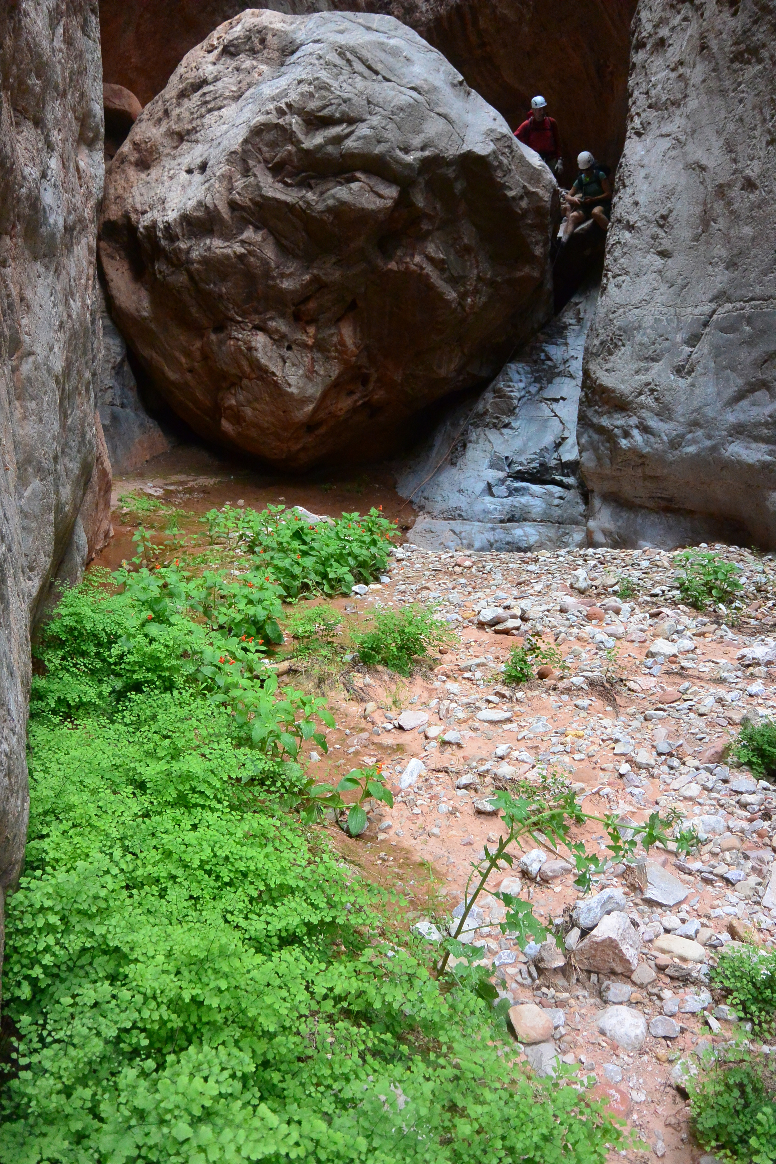 Hidden Spring.jpg