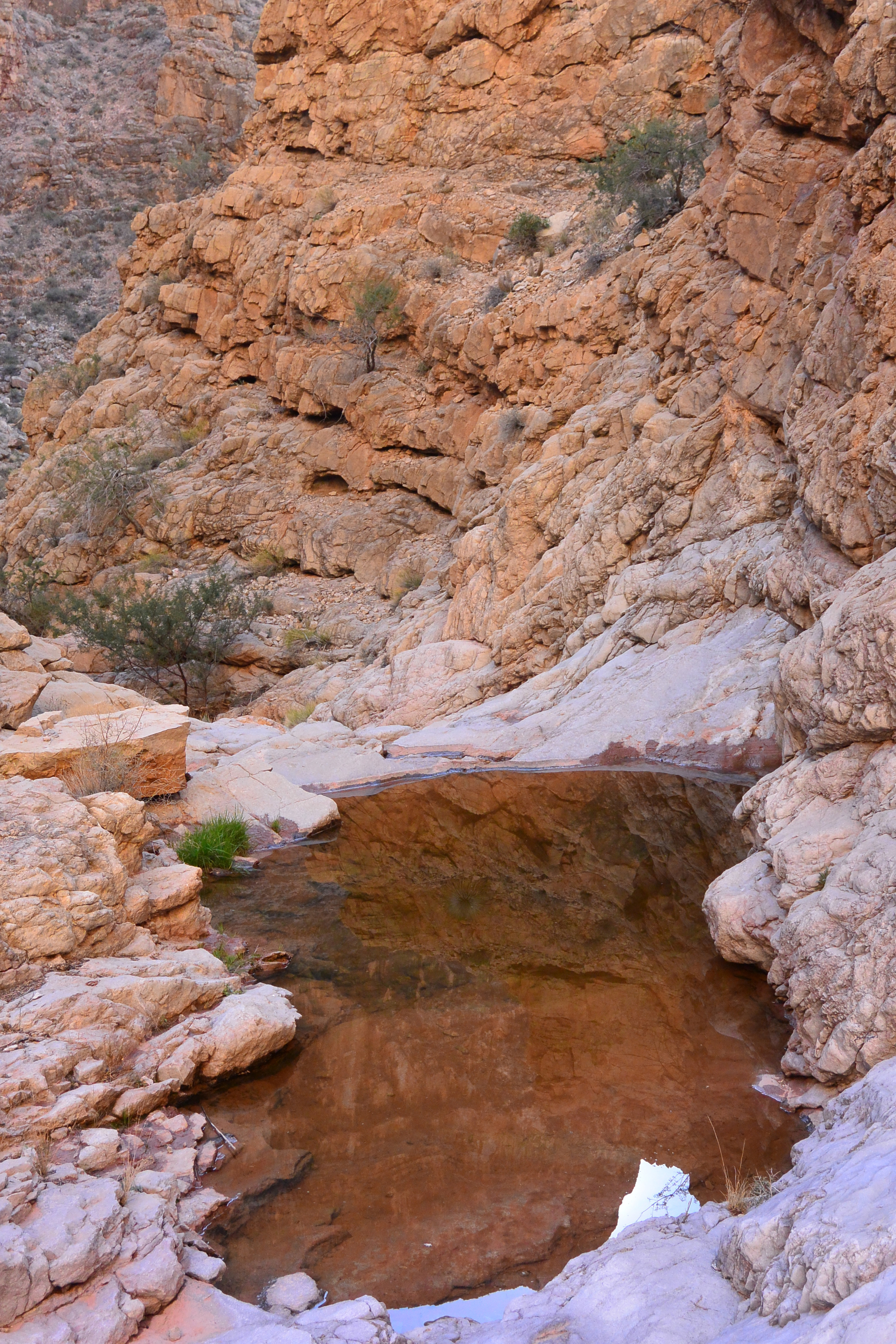 Pool40FeetBelowCattailPool.jpg