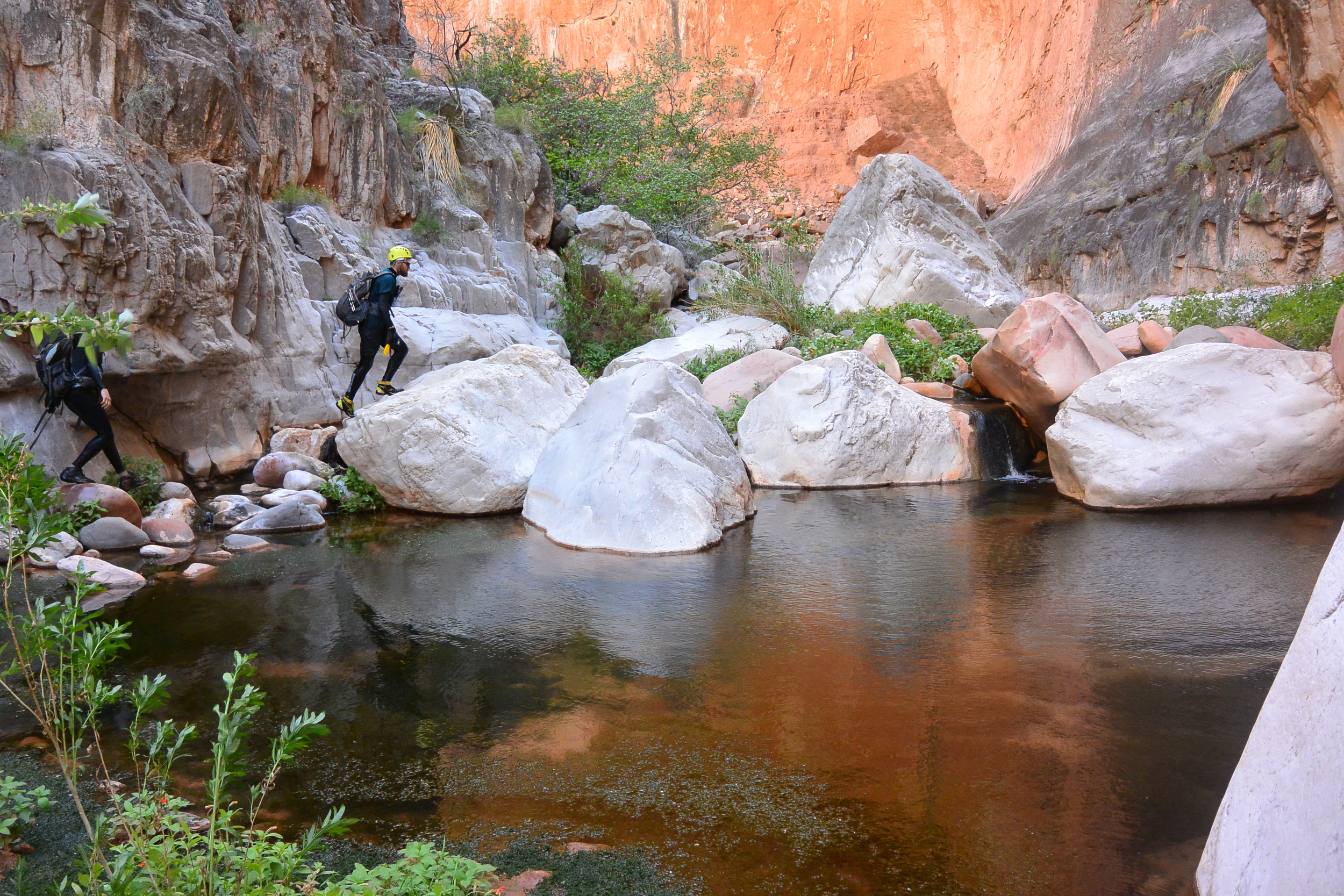 Spring in one of many side canyons in Grand Canyon. Photo contributed by Rich Rudow.