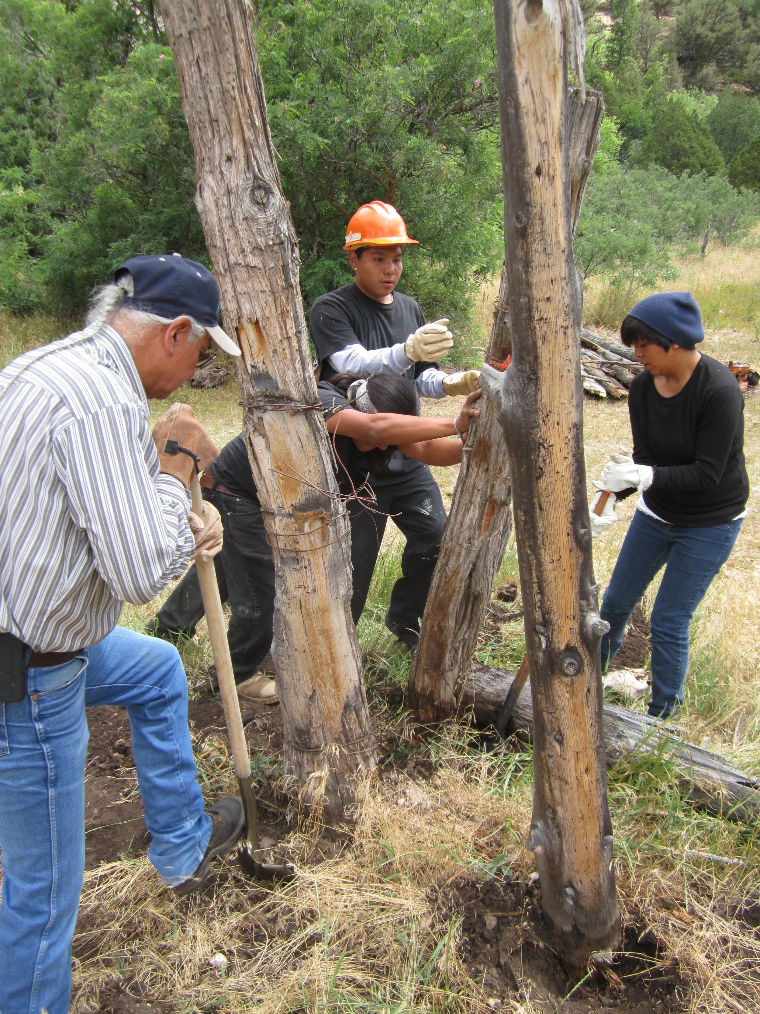 Volunteers removing decrepit fence posts during the rehabilitation of Castle Springs in Kaibab National Forest.