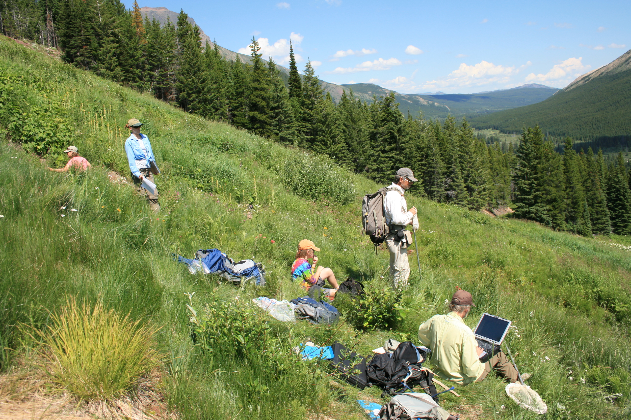 Ms. Jeri Ledbetter and Dr. Larry Stevens surveying Jellyroll Springs in Alberta, Canada with researchers from the University of Lethbridge, and in collaboration with Dr. Abe Springer of Northern Arizona University.