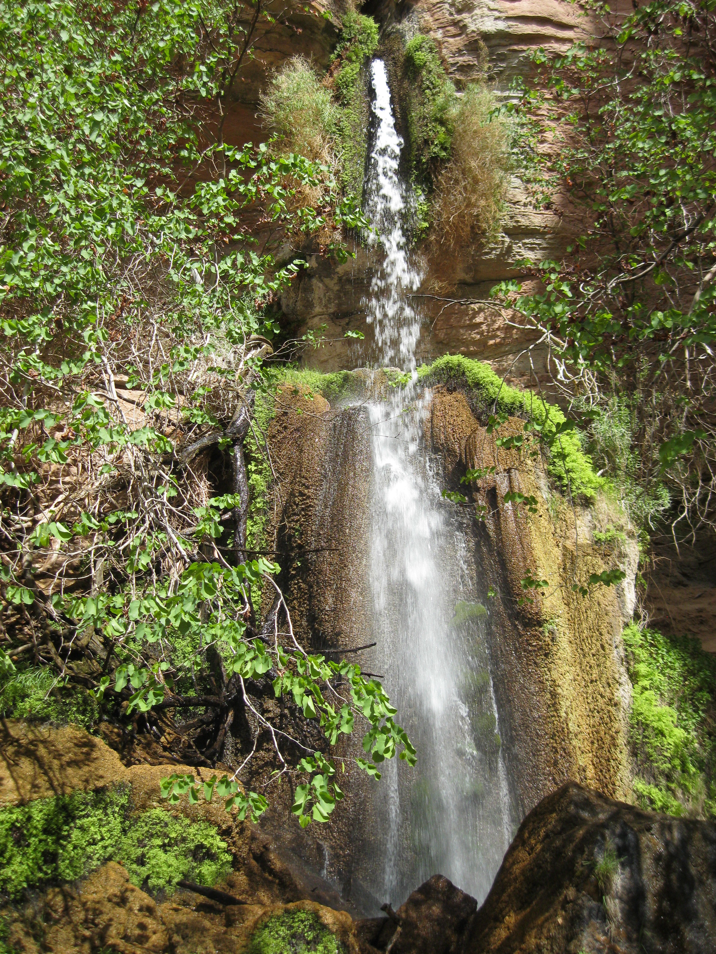 Dutton Spring in Grand Canyon National Park. Photo by Jeri Ledbetter.
