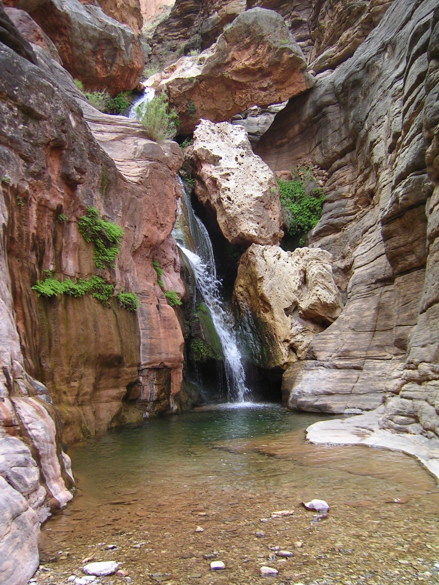 Elves Chasm spring-fed waterfalls. We often stop here on river trips. Photo by Bob Martin
