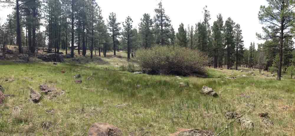 Panoramic view of Coyote Springs