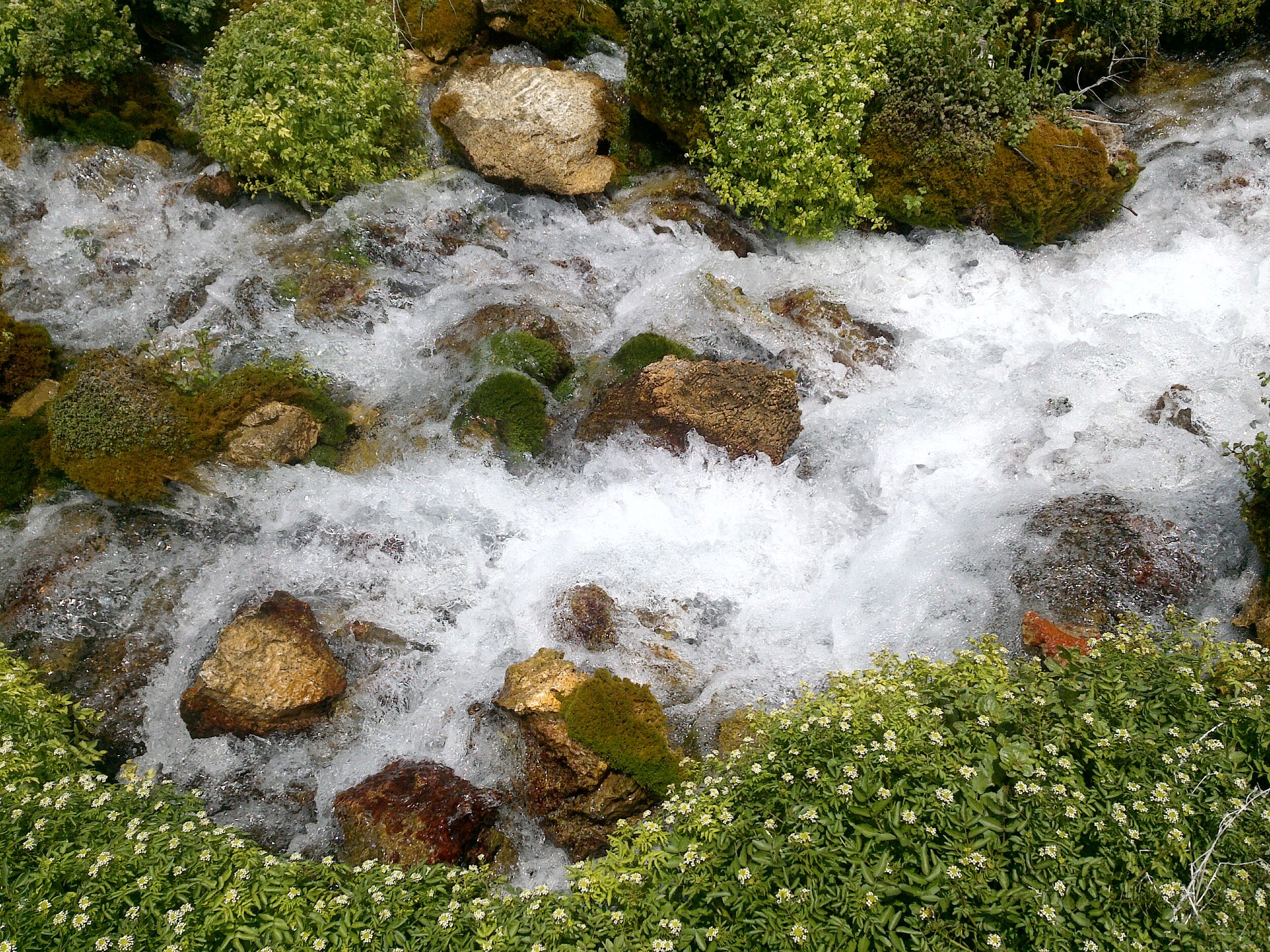NVflowingspring2.jpg