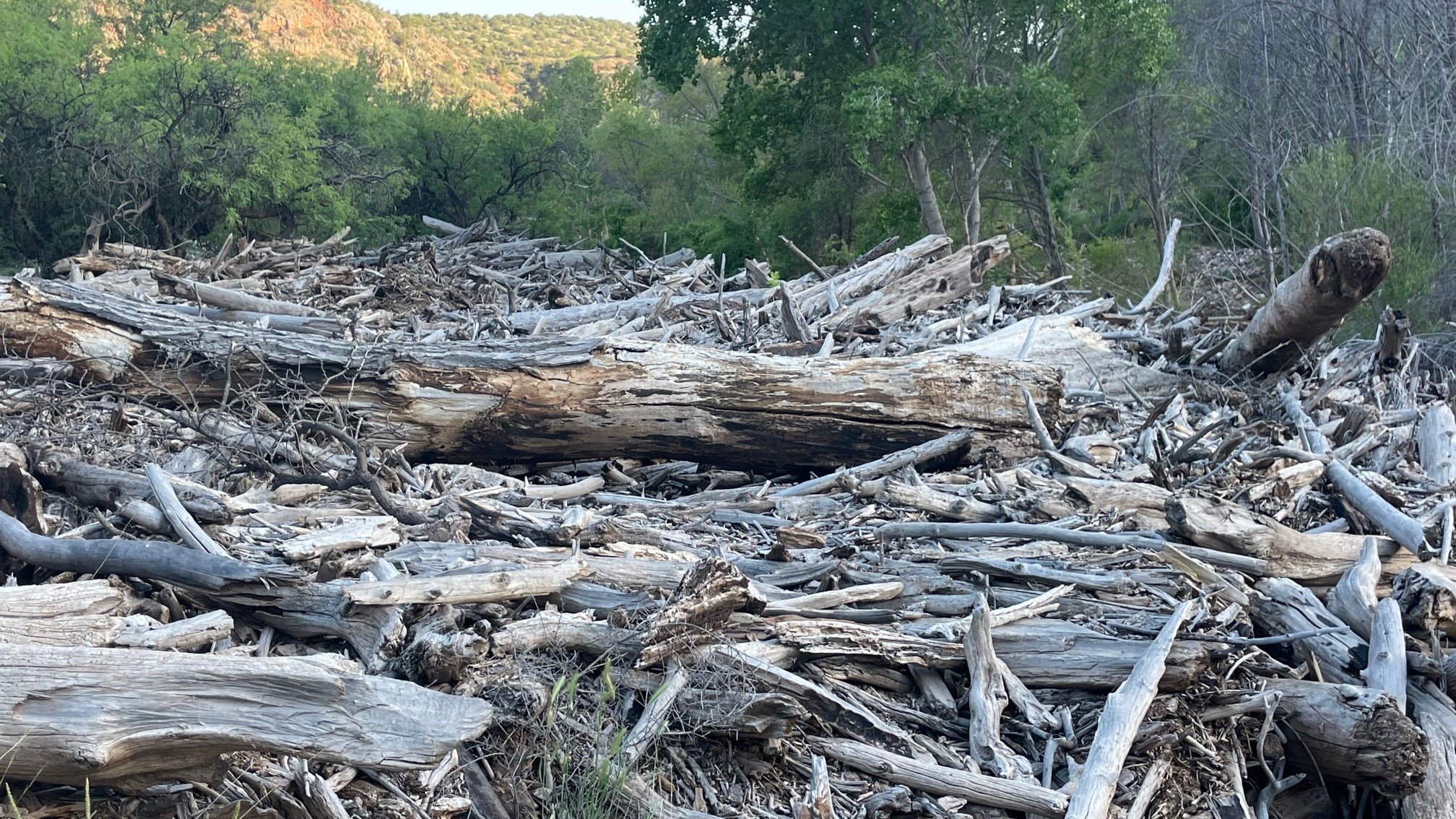 Sycamore Canyon Flood Debris