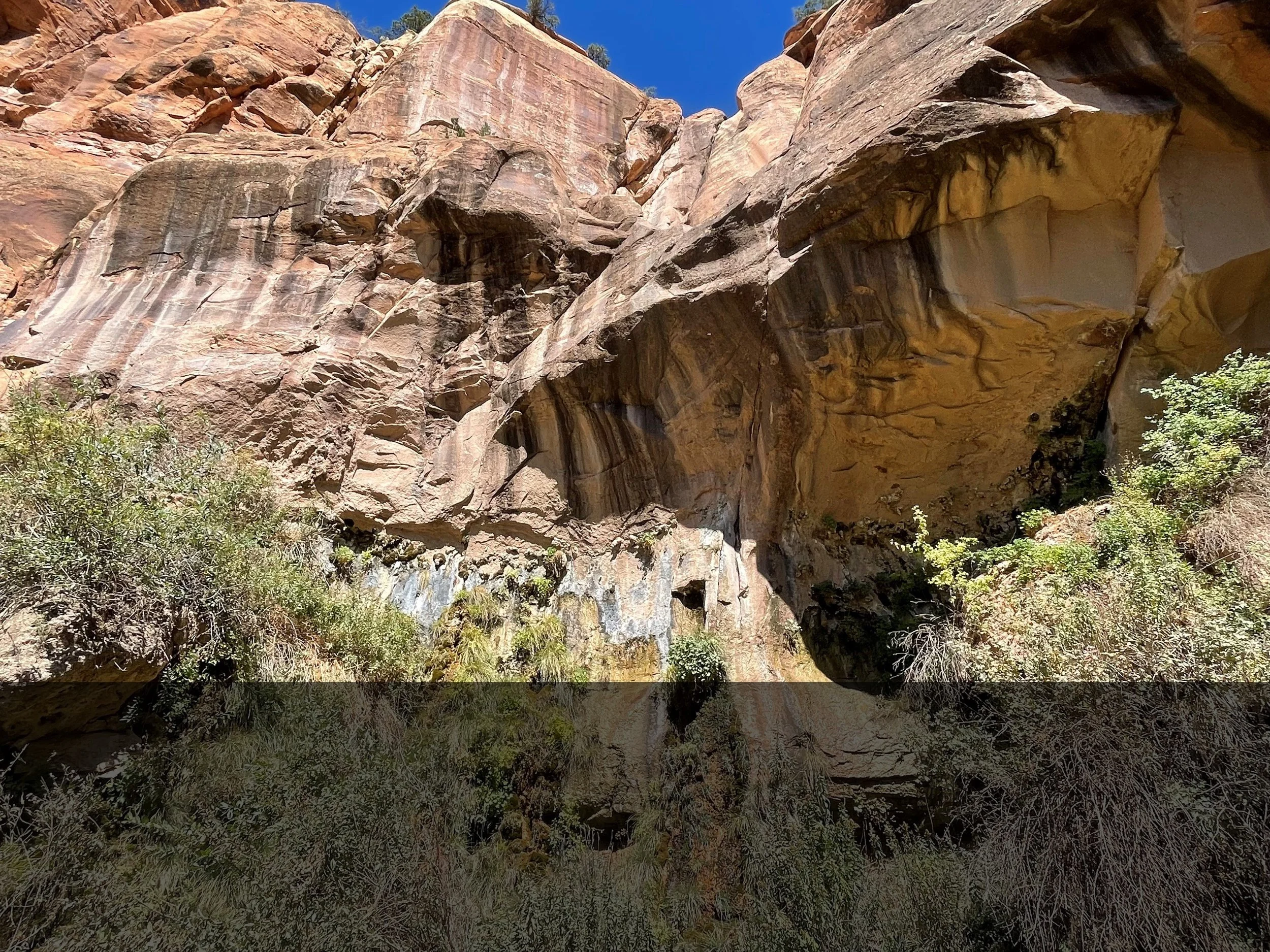 Springs on a Global Stage