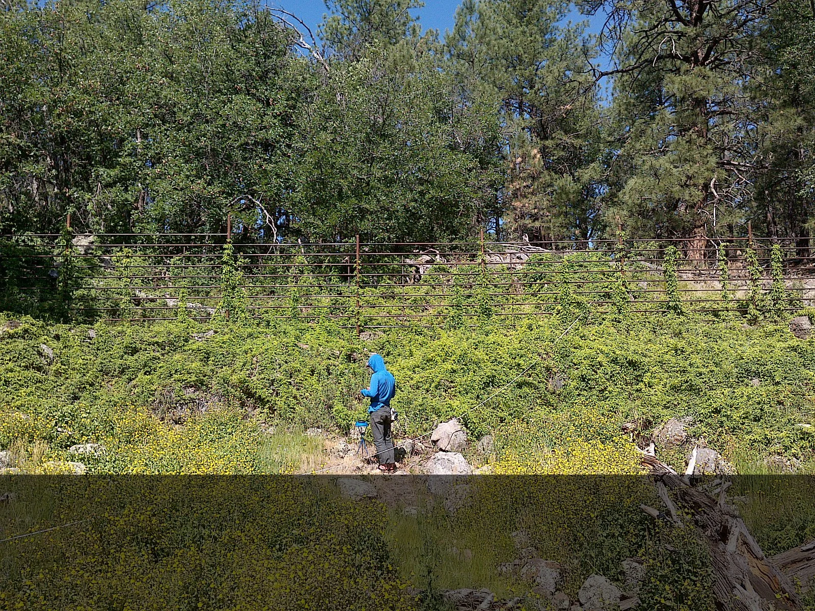 Big Spring Restoration