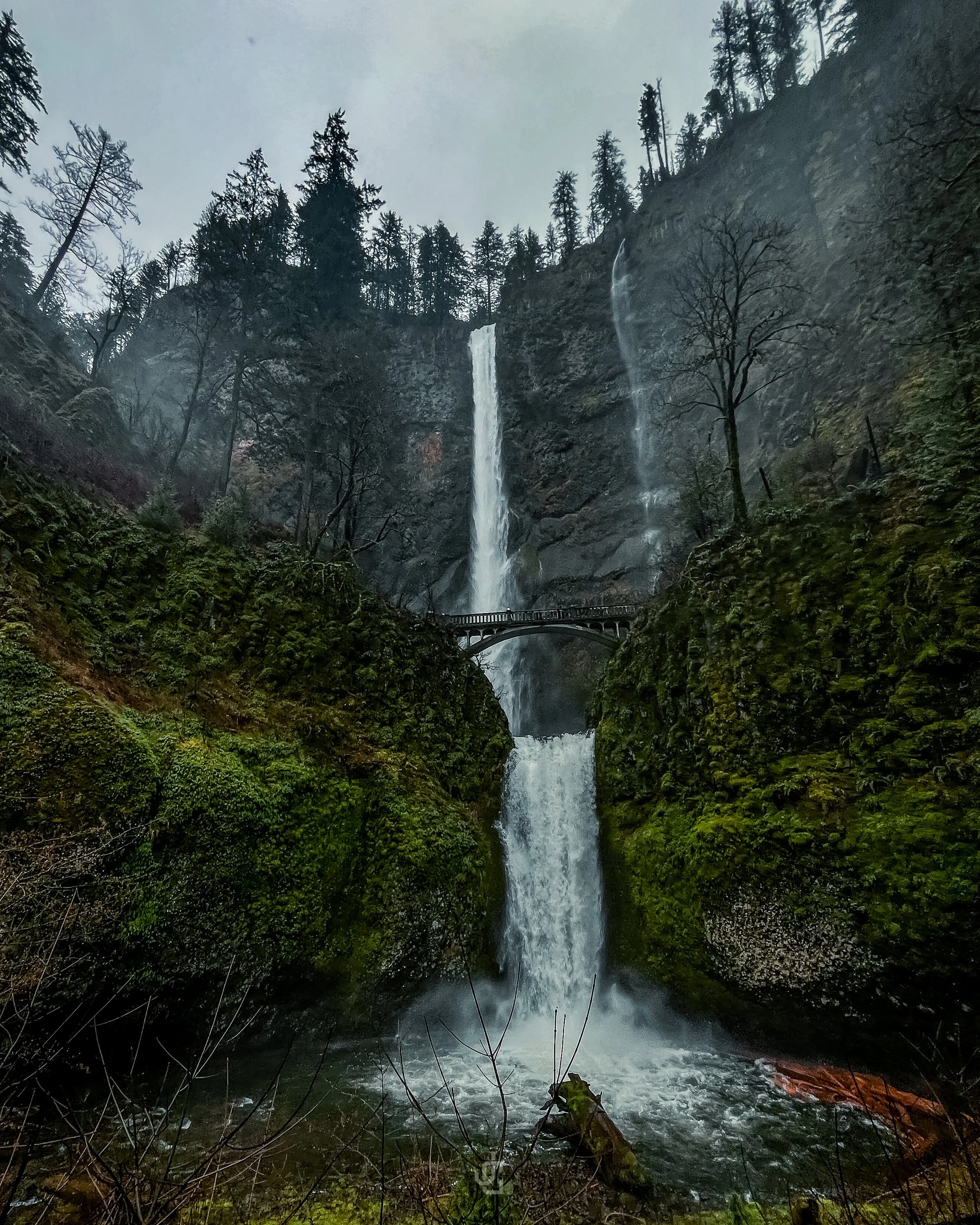 Portland4.jpg