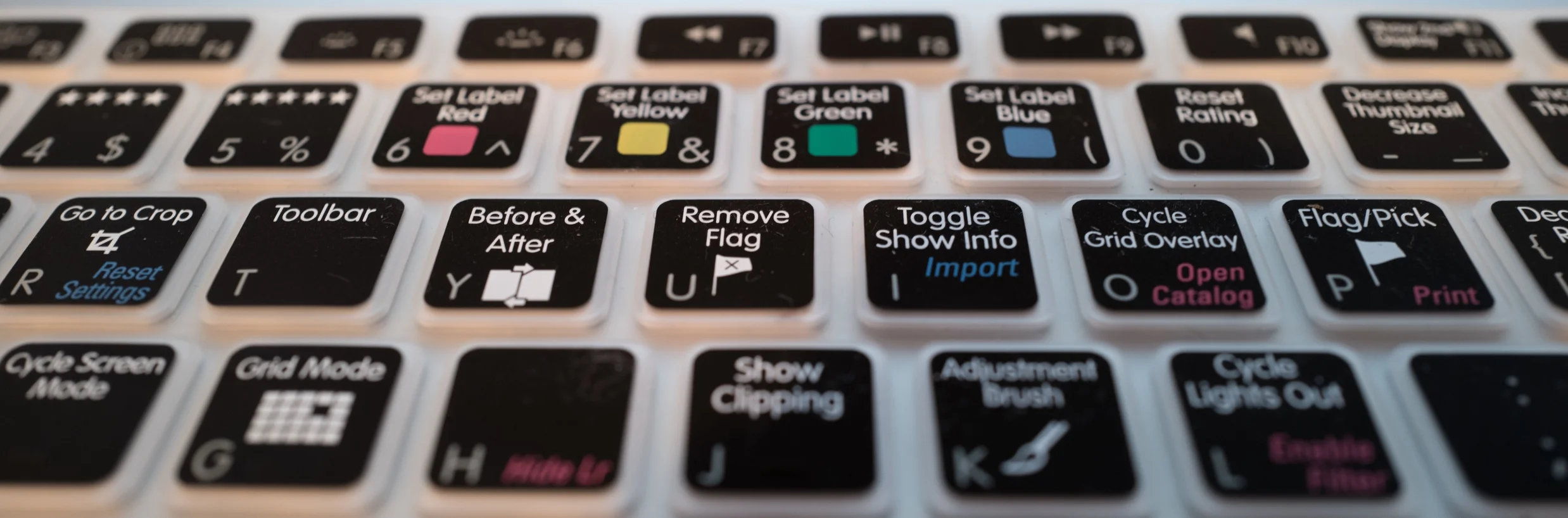 Leica Q, Handheld Standing, ISO400, 1/4, f5, AFocus, Macro, Straight out of camera, cropped