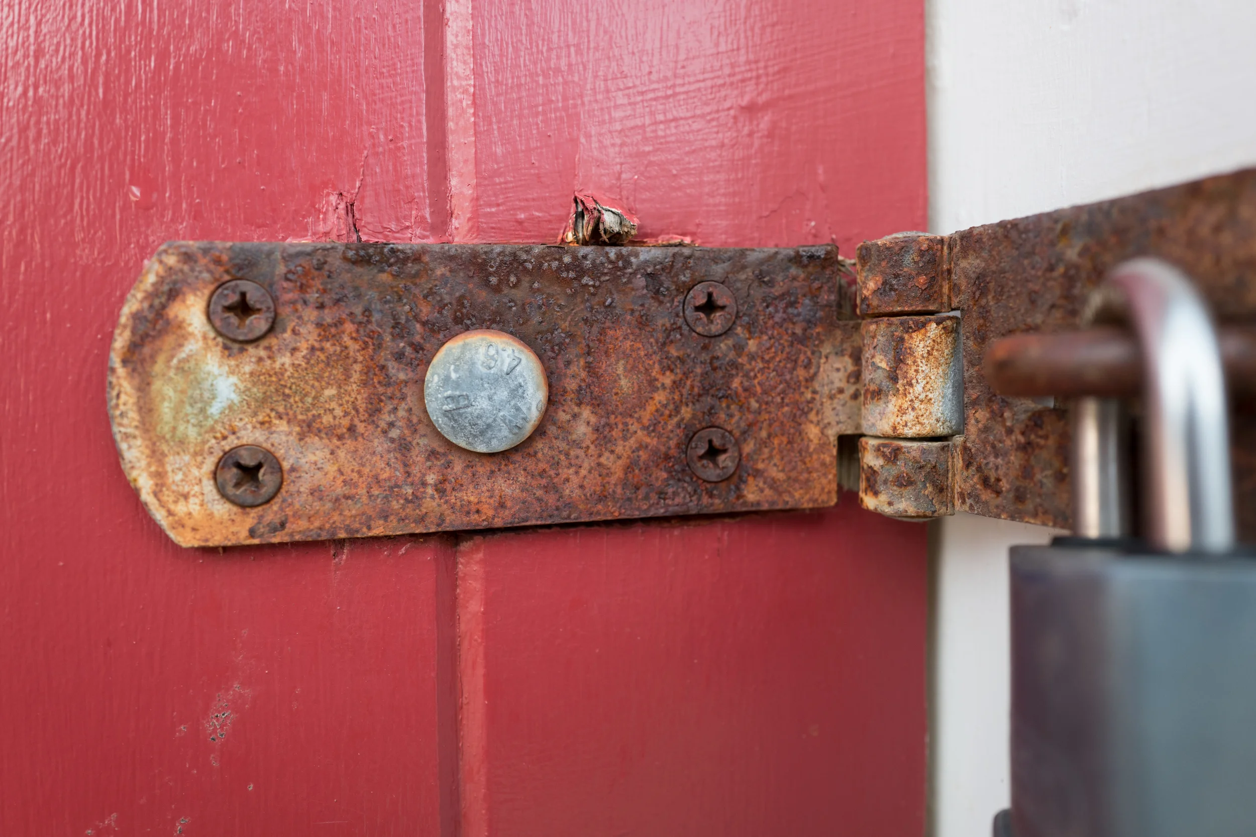 LesW-Week4-Image-3.jpg
