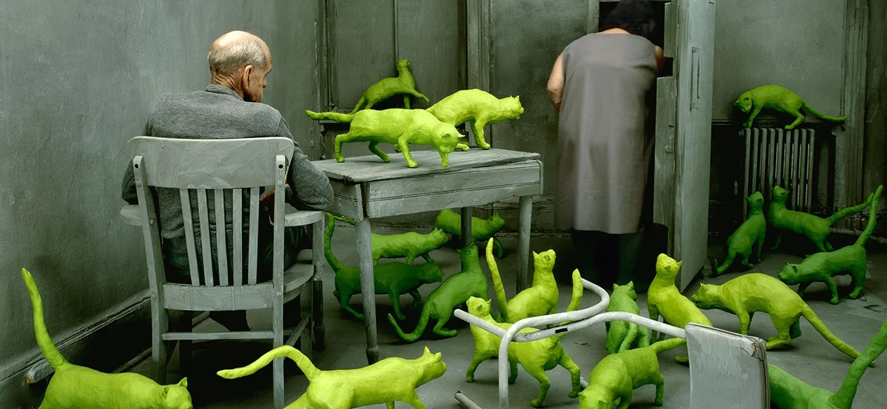 Workshop Experience : Photography Studies College Week #5